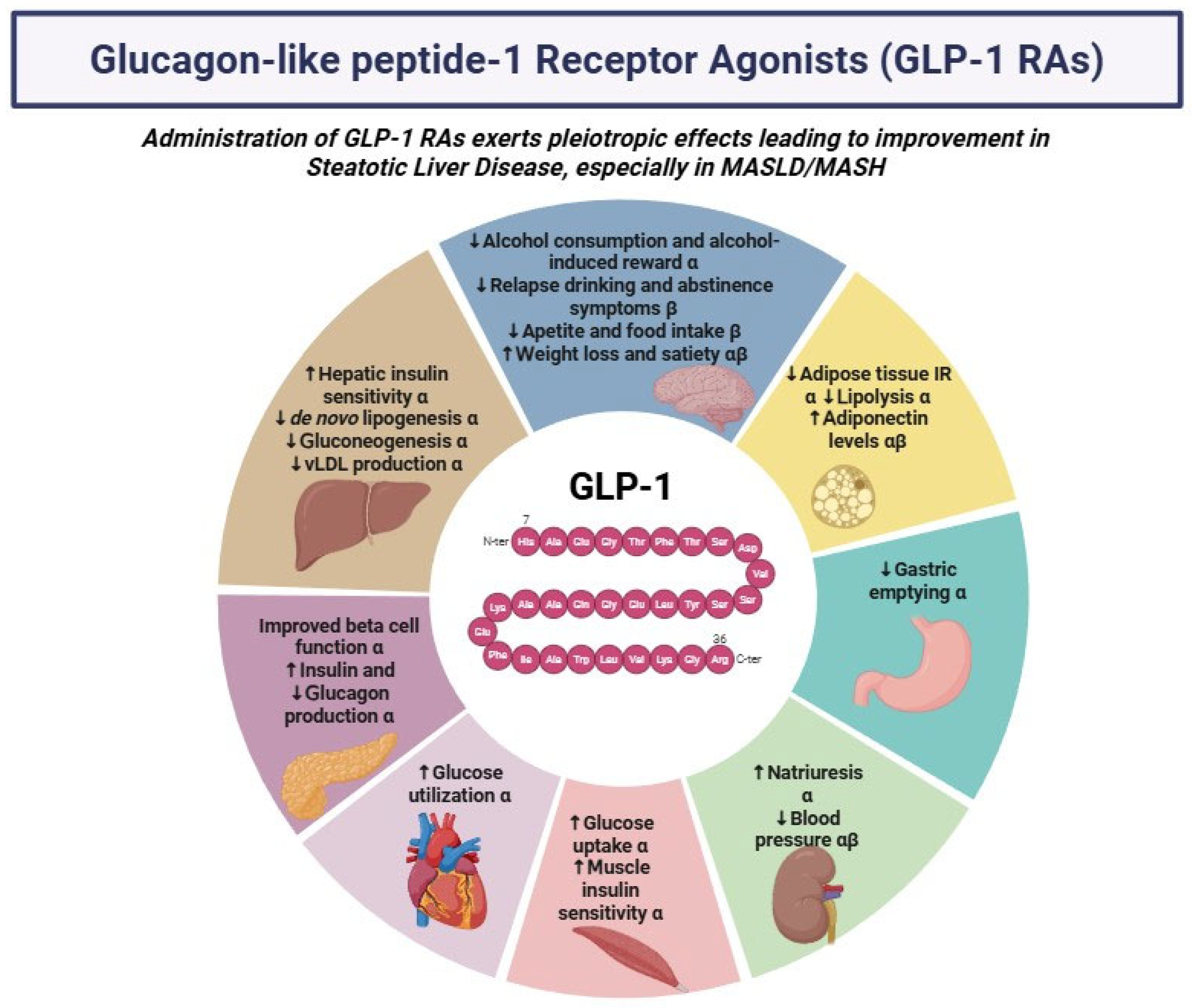 Biomedicines 13 01516 g001 Biomedicines 13 01516 g001