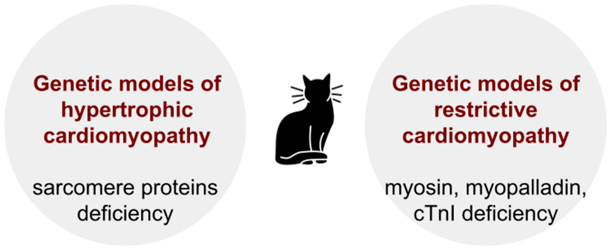Biomedicines 13 01518 g002 Biomedicines 13 01518 g002