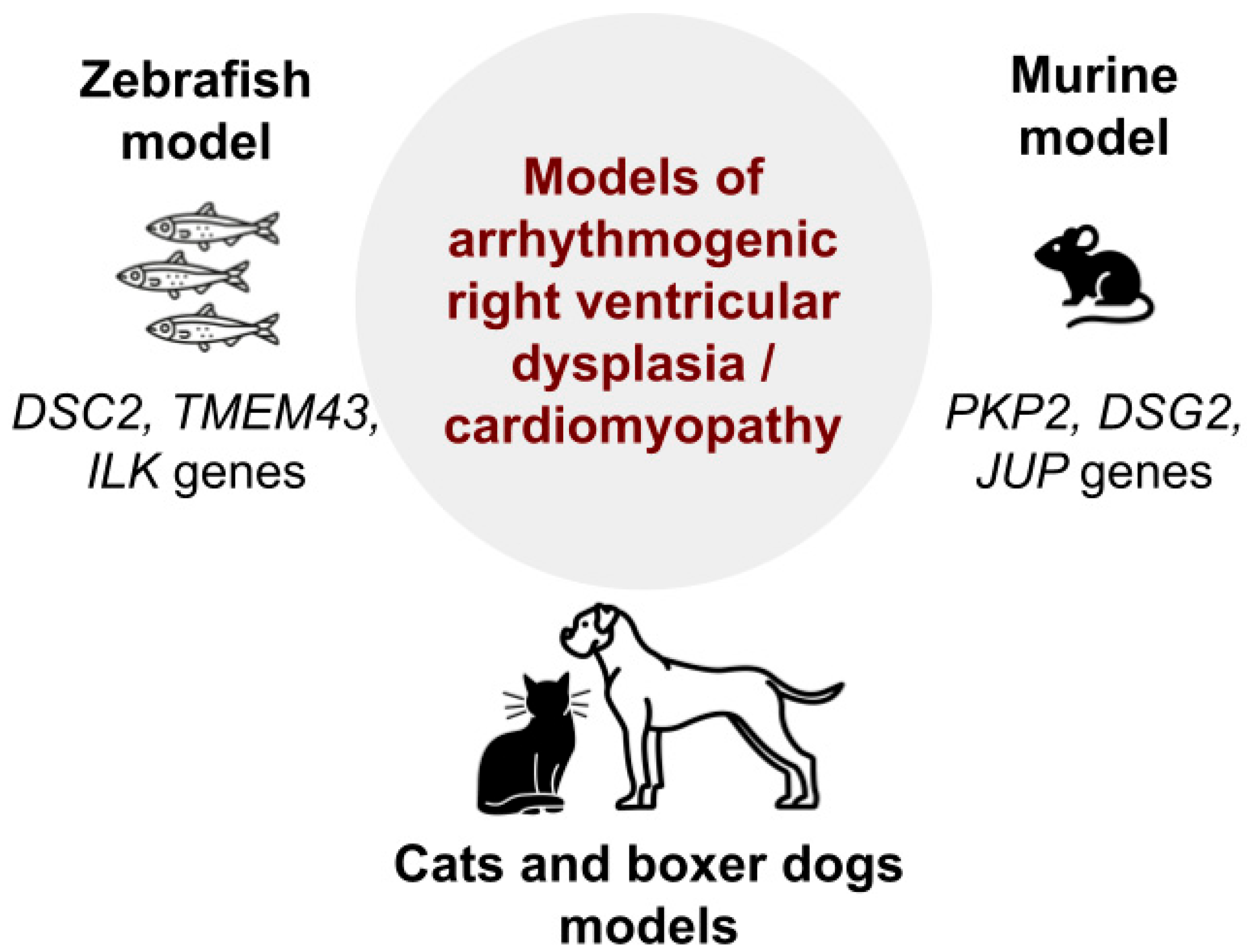 Biomedicines 13 01518 g003 Biomedicines 13 01518 g003