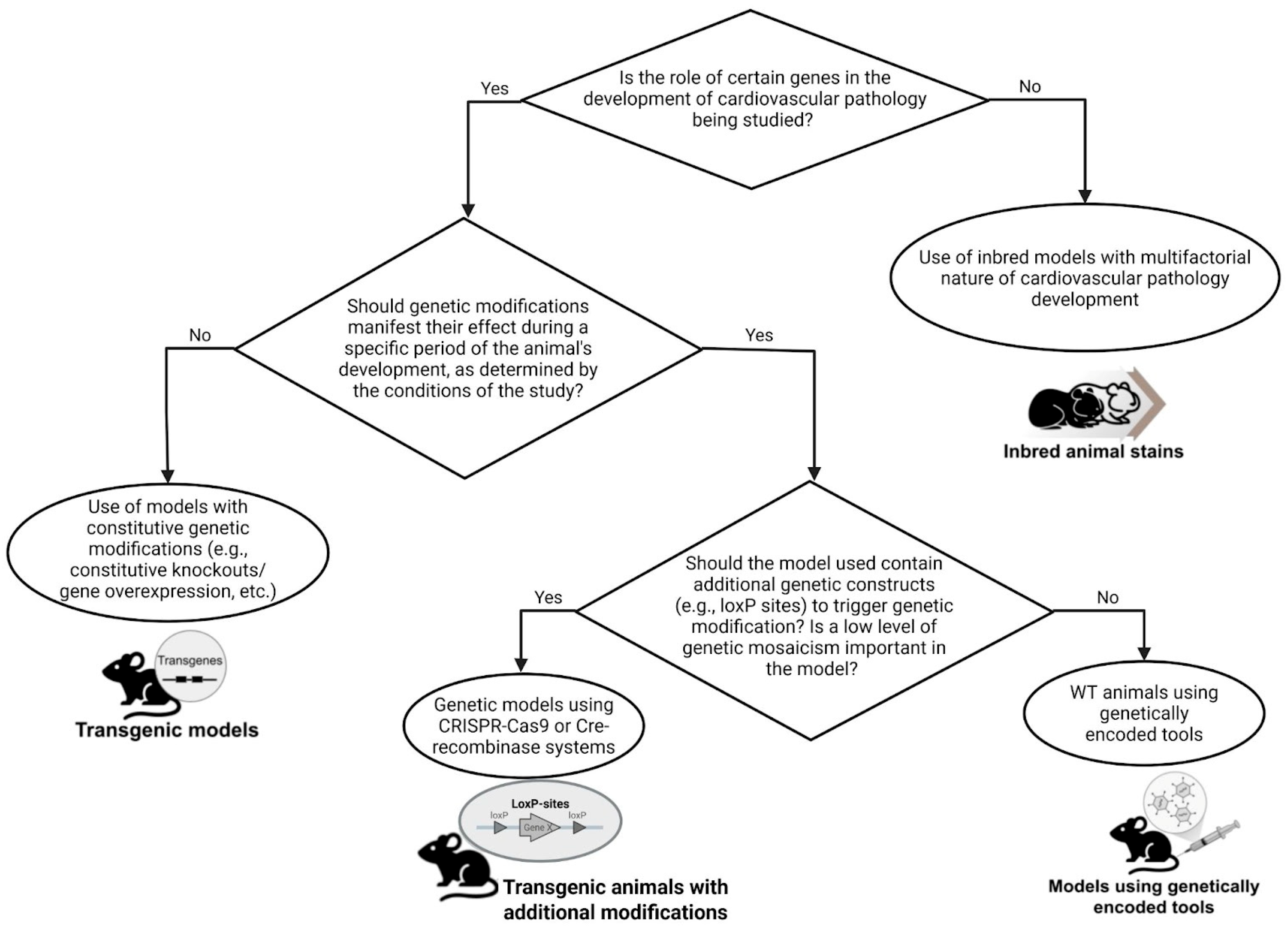 Biomedicines 13 01518 g005 Biomedicines 13 01518 g005
