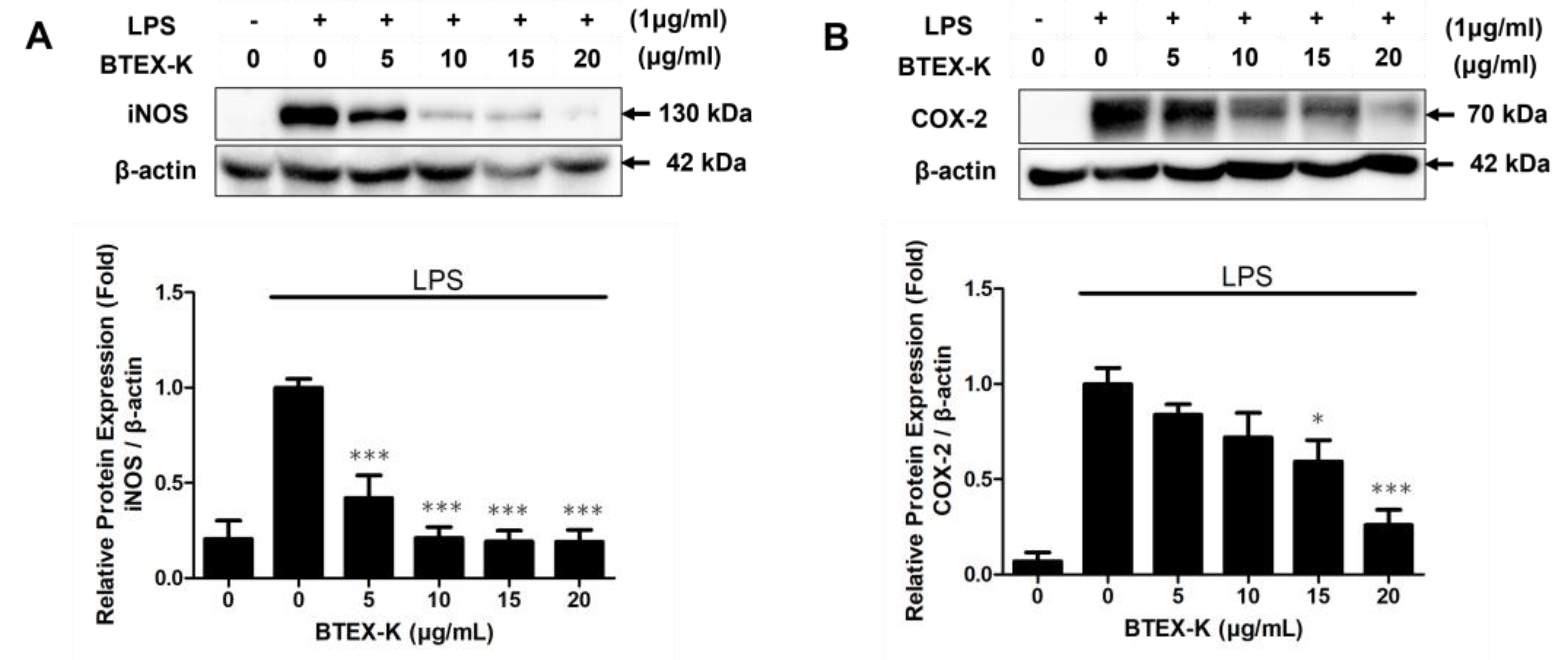 Biomedicines 13 01524 g003