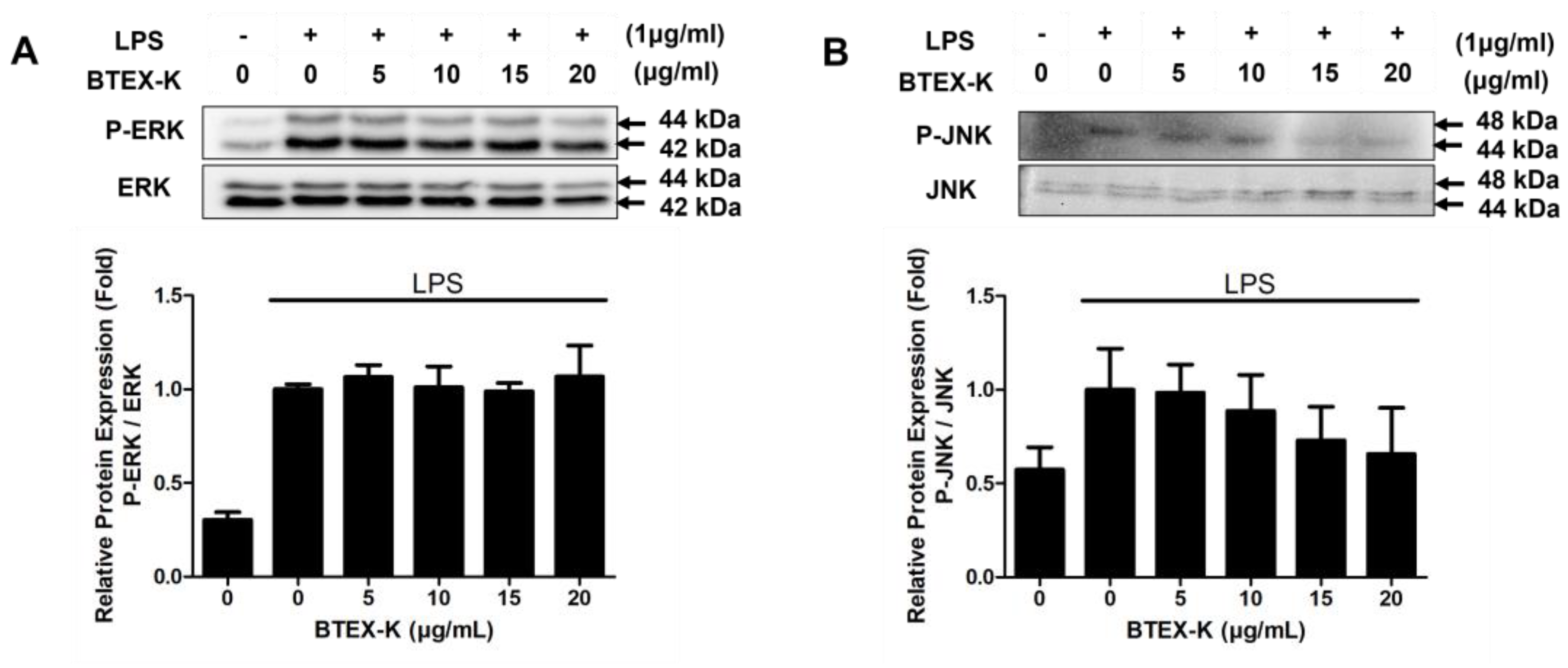 Biomedicines 13 01524 g006