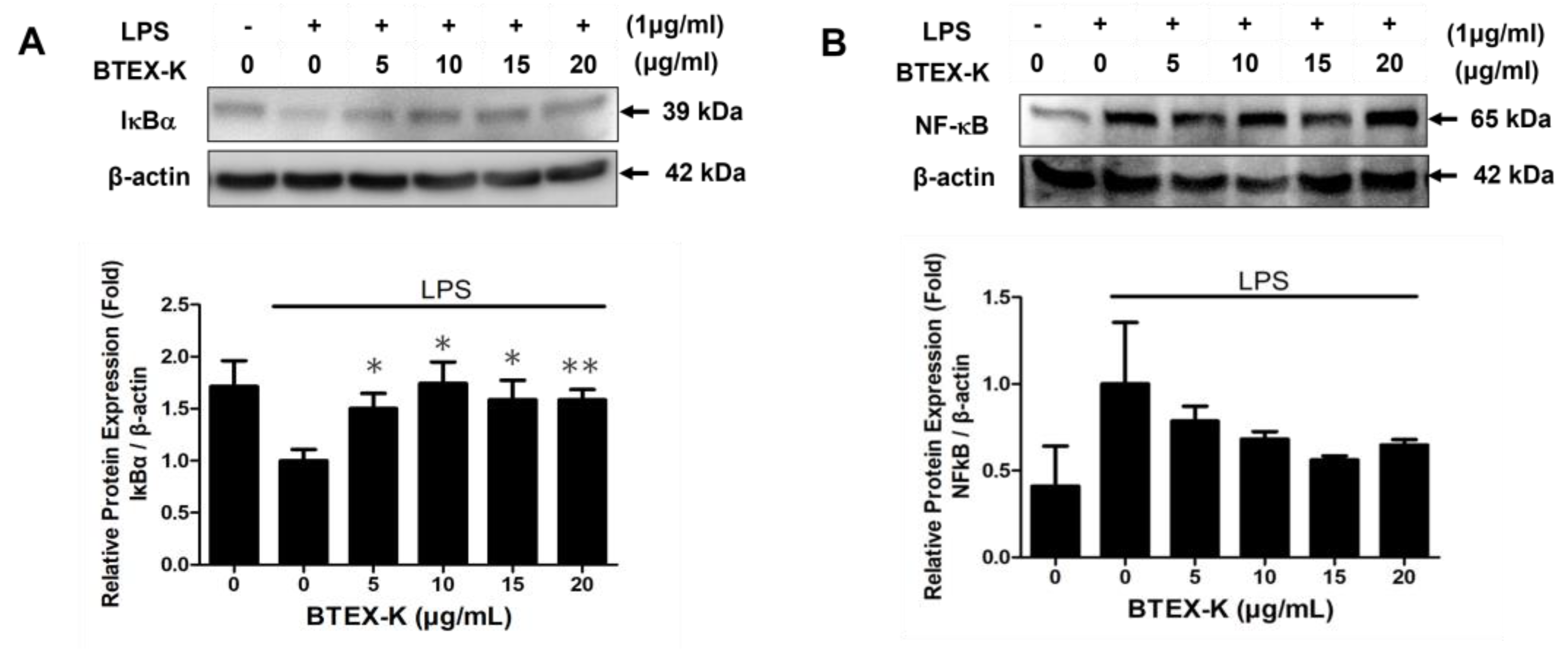 Biomedicines 13 01524 g007