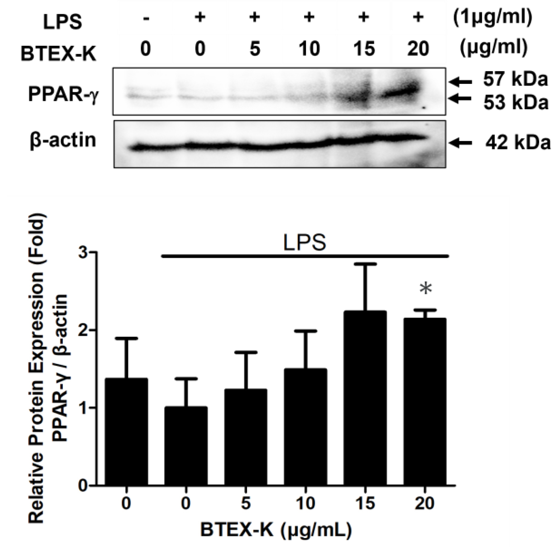 Biomedicines 13 01524 g008