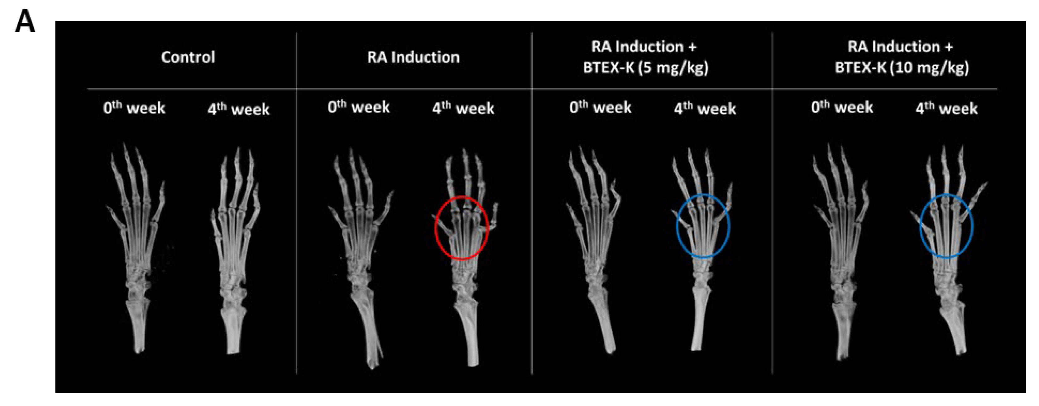 Biomedicines 13 01524 g009a