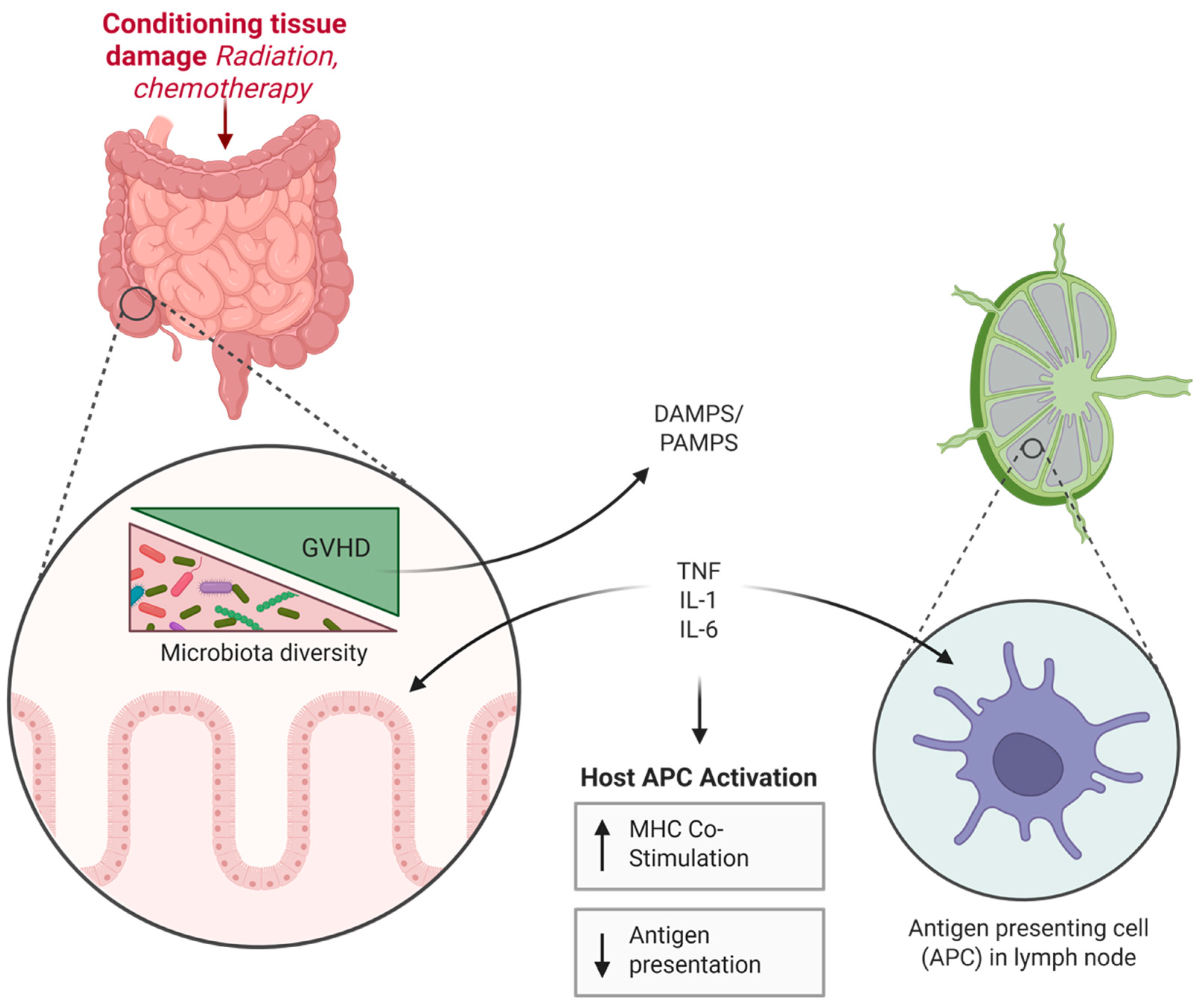 Biomedicines 13 01527 g001 Biomedicines 13 01527 g001