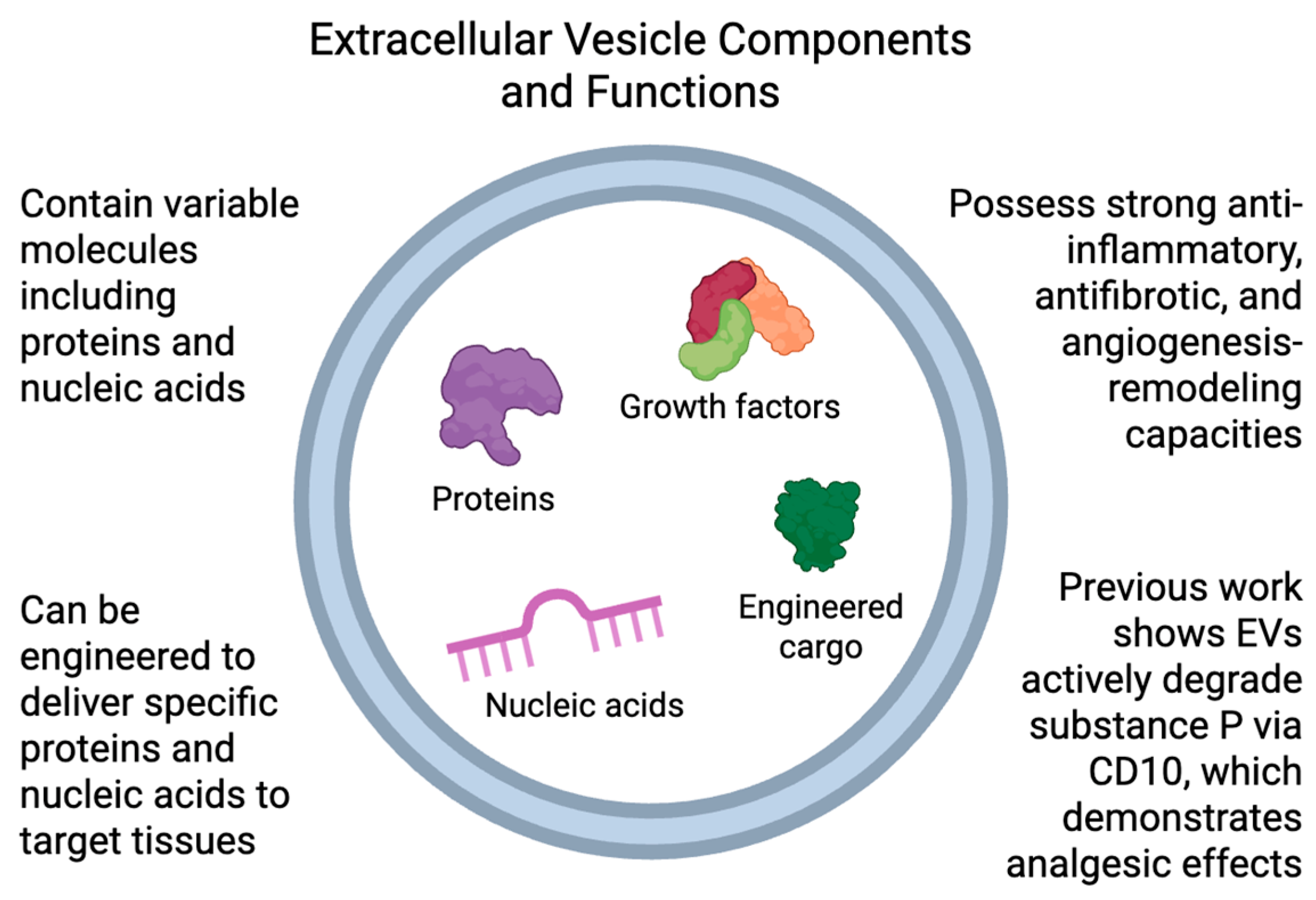 Biomedicines 13 01528 g002