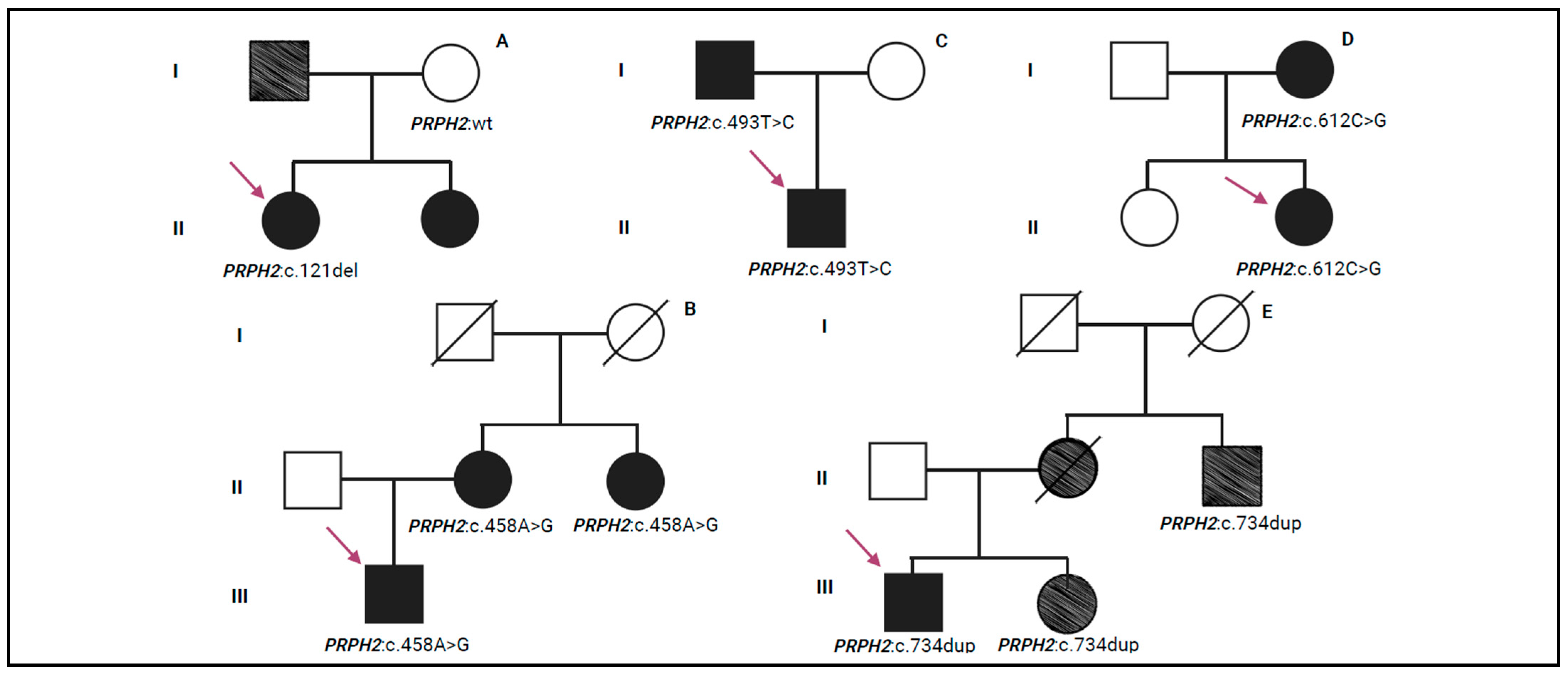 Biomedicines 13 01531 g002