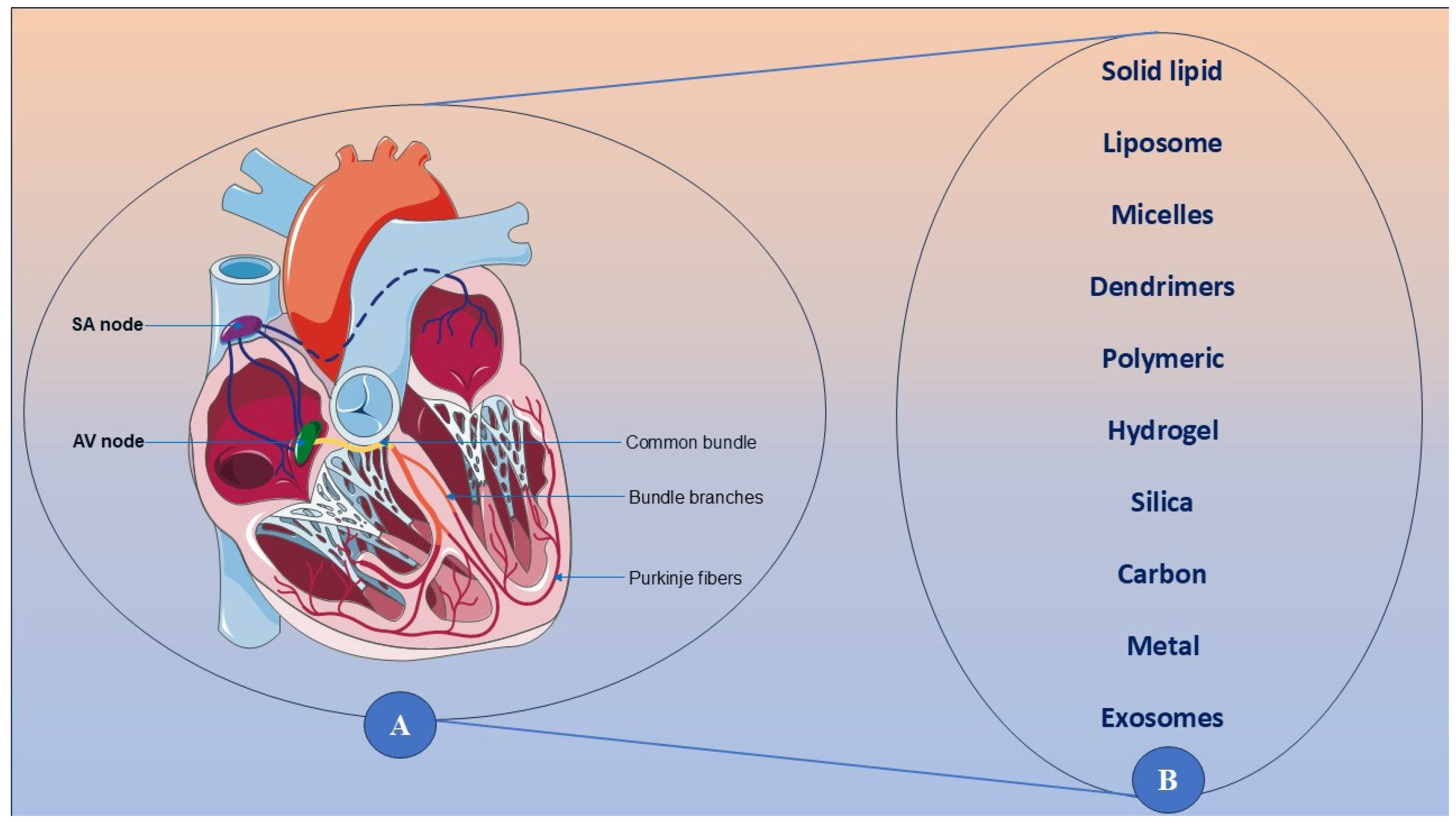 Biomedicines 13 01532 g004