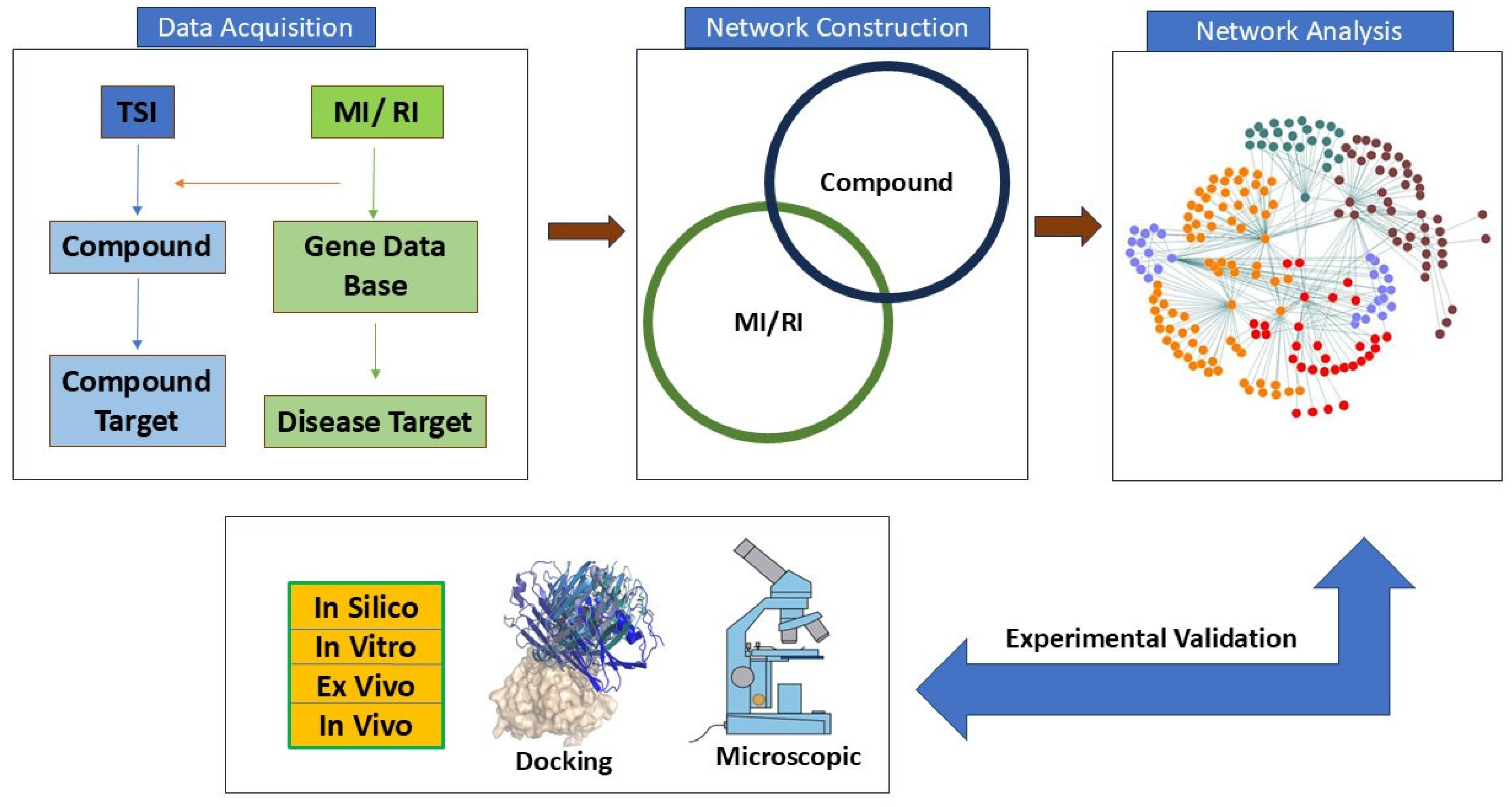 Biomedicines 13 01532 g005