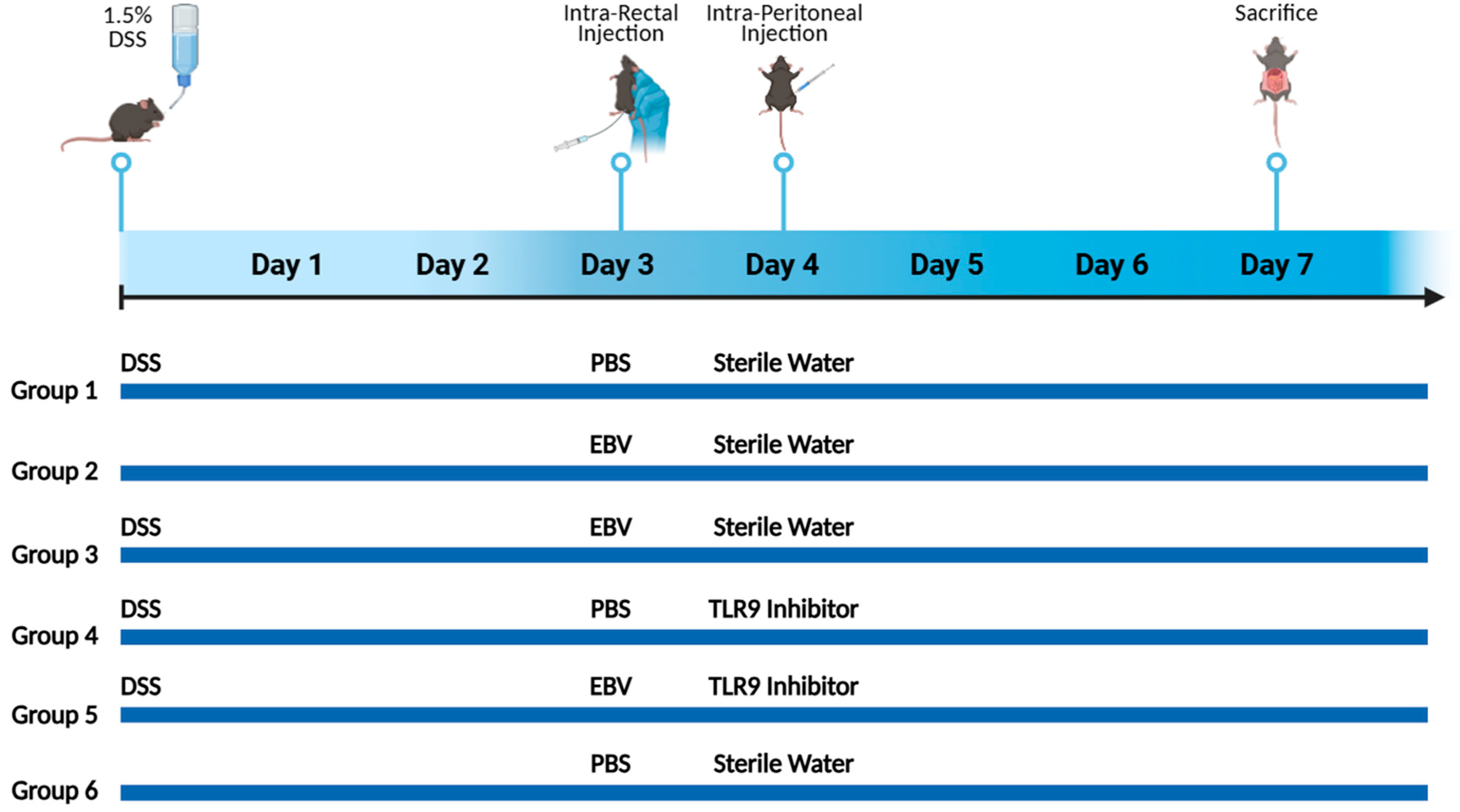 Biomedicines 13 01535 g001