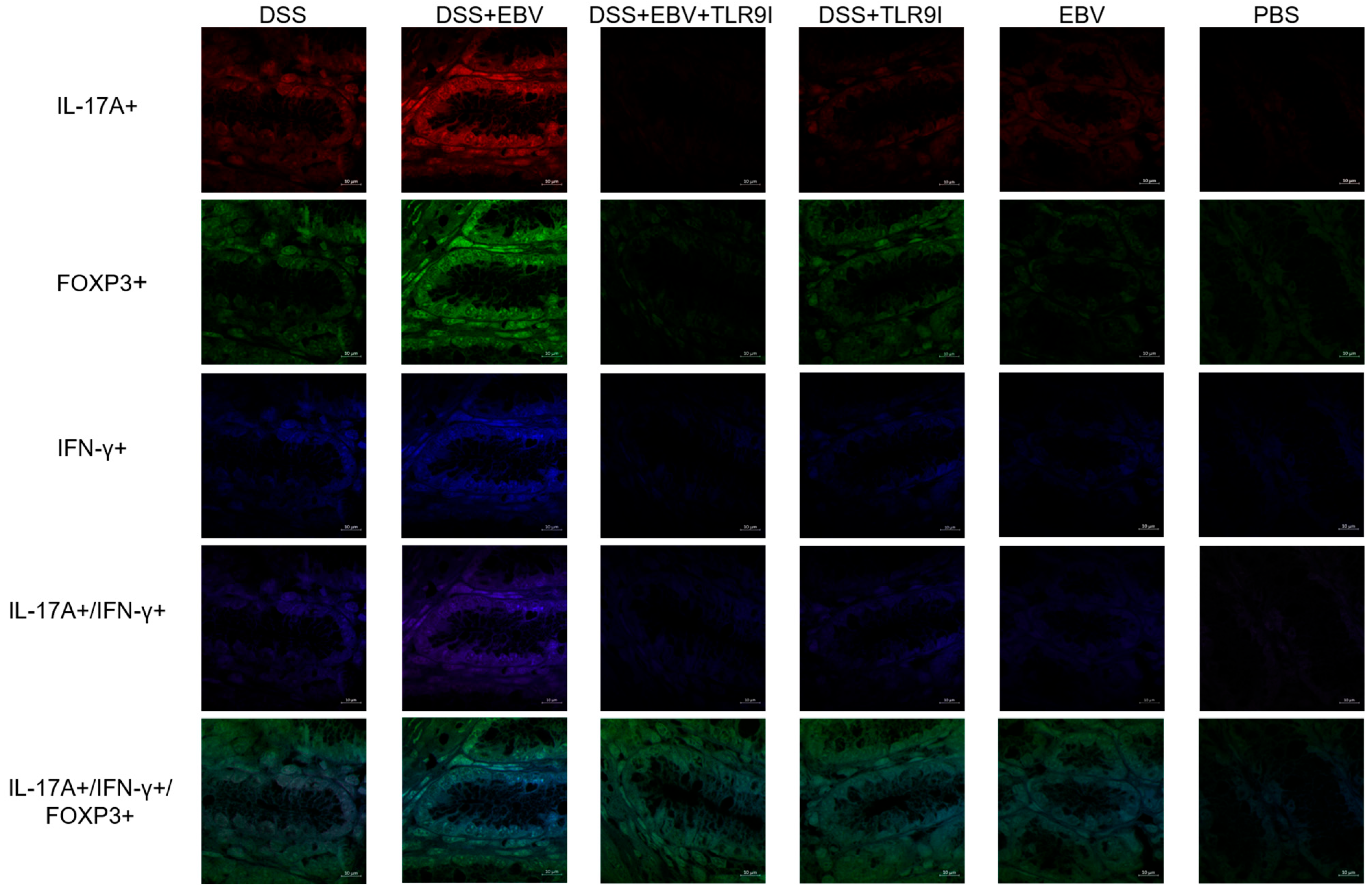 Biomedicines 13 01535 g006