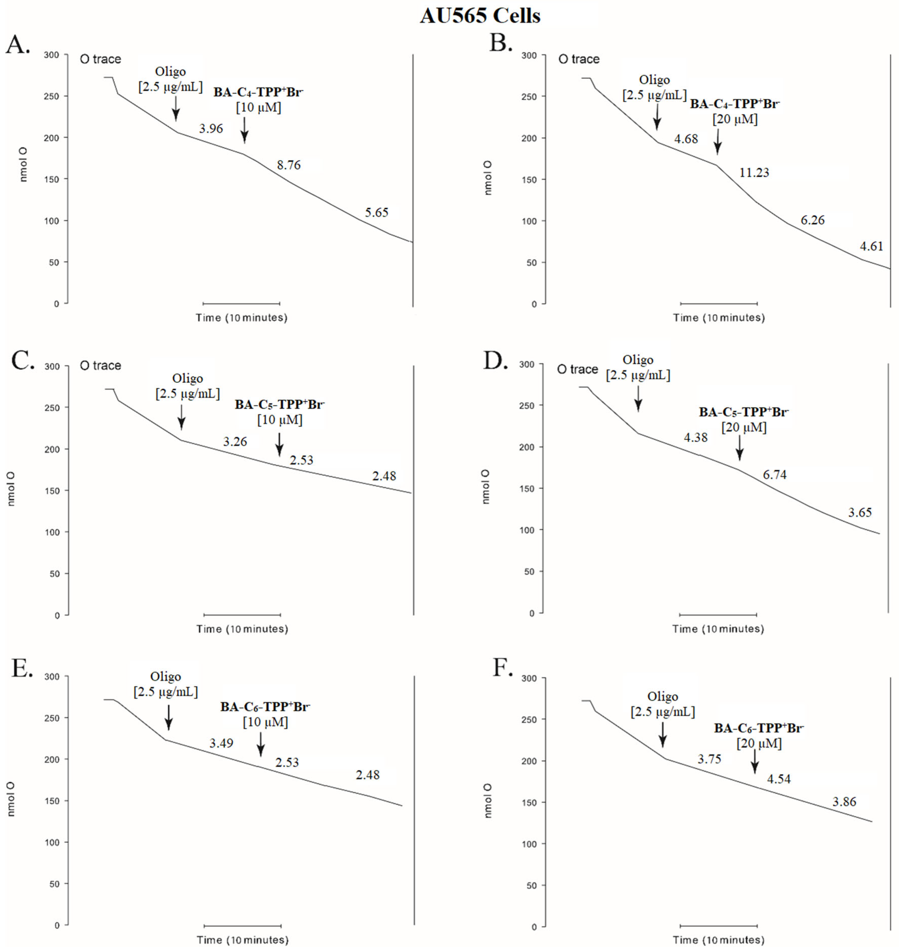 Biomedicines 13 01539 g002