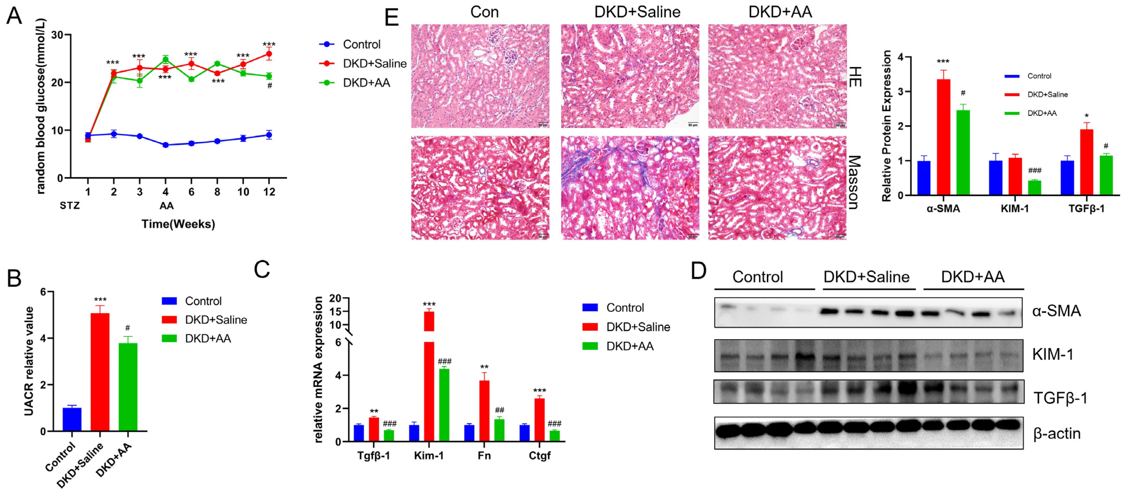Biomedicines 13 01544 g001