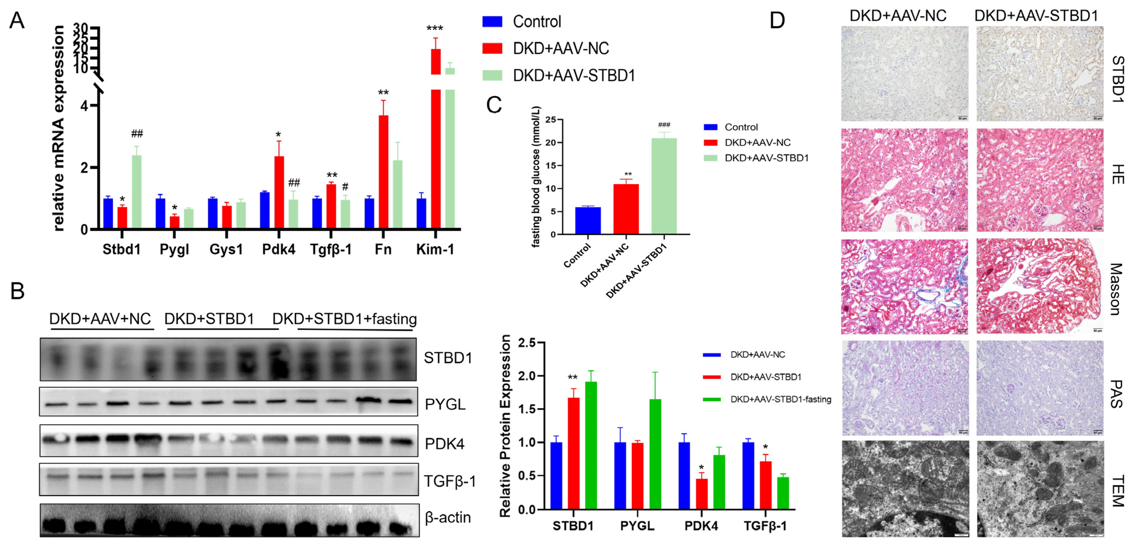 Biomedicines 13 01544 g005