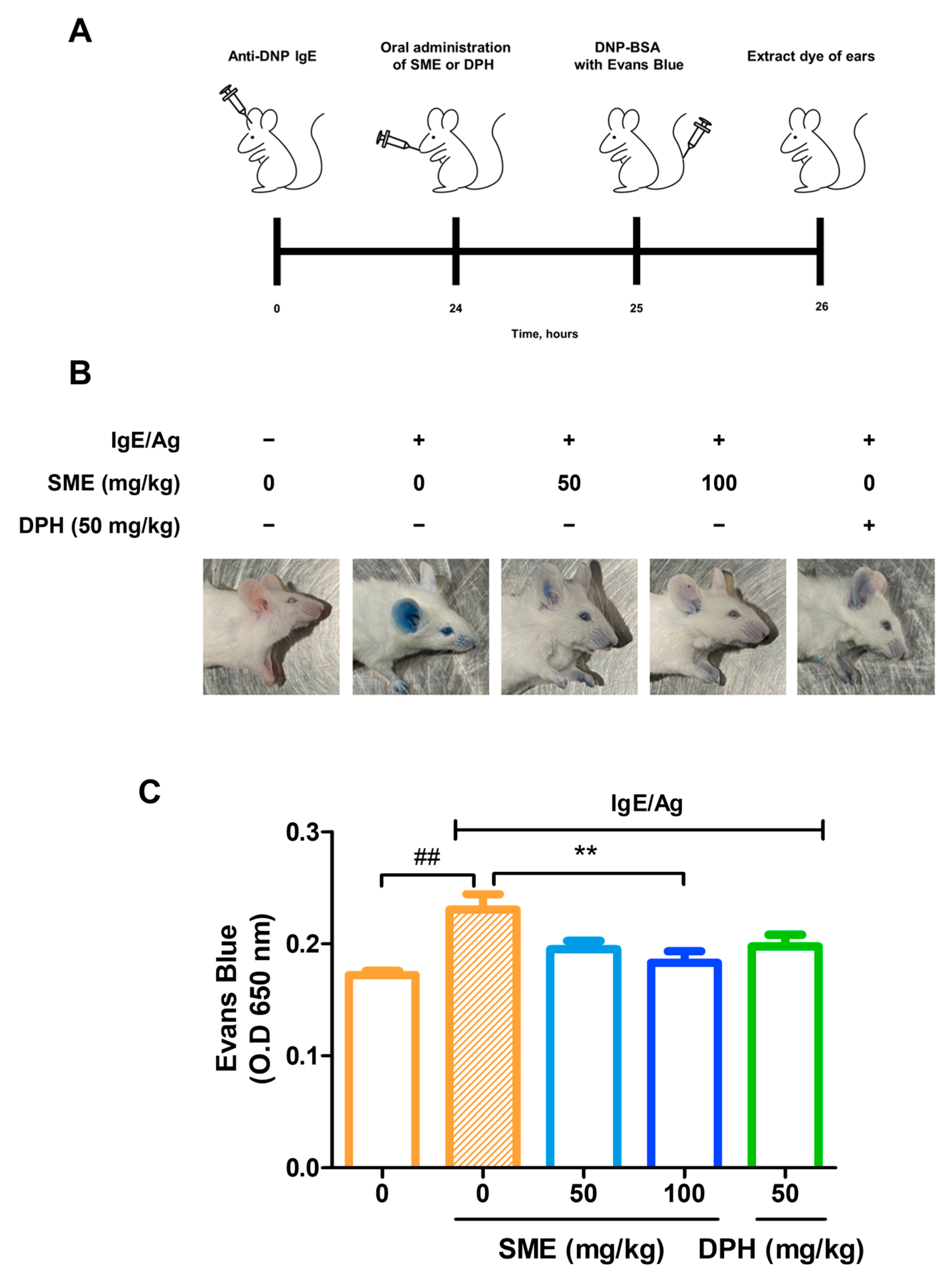 Biomedicines 13 01547 g002