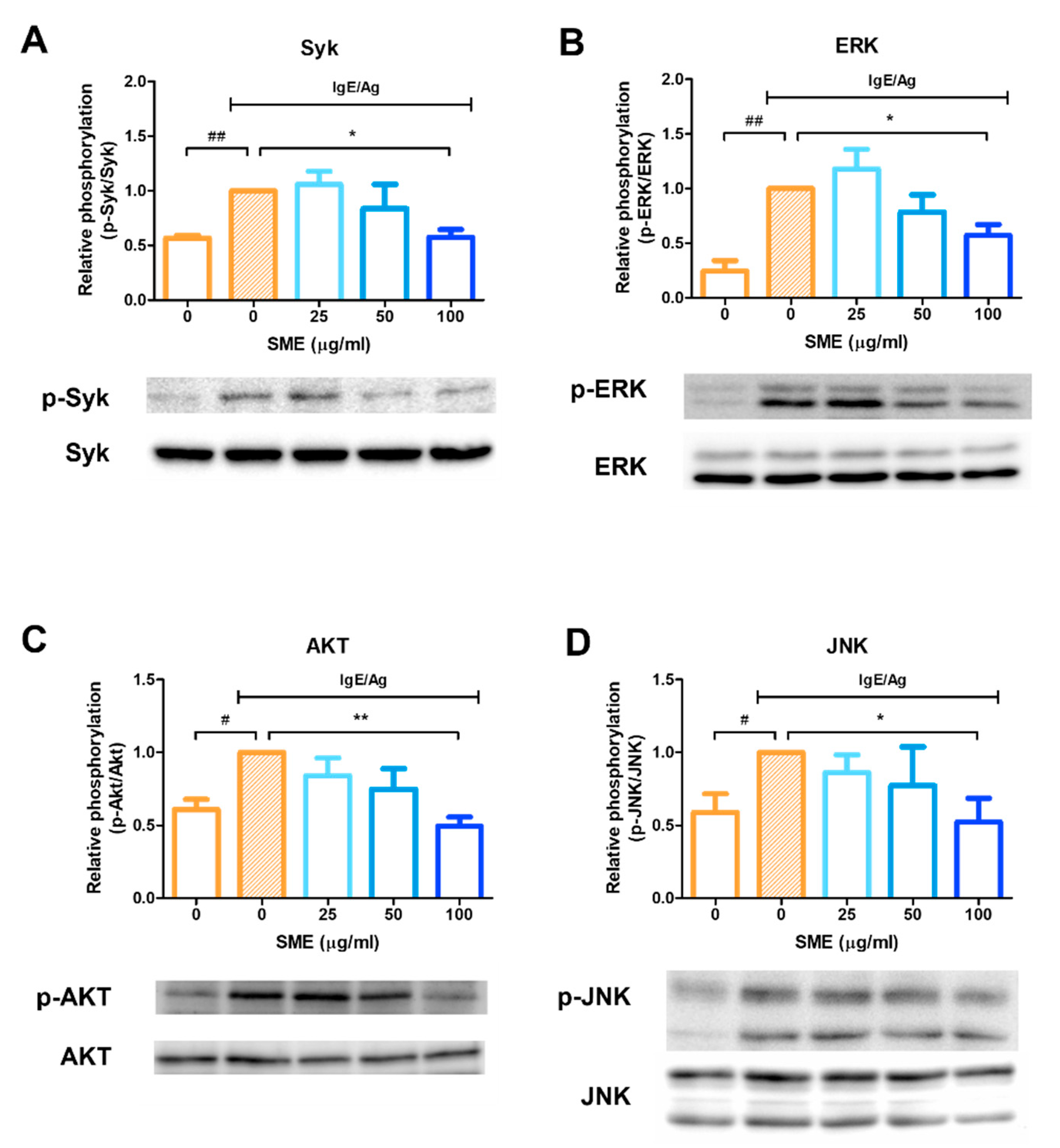 Biomedicines 13 01547 g003