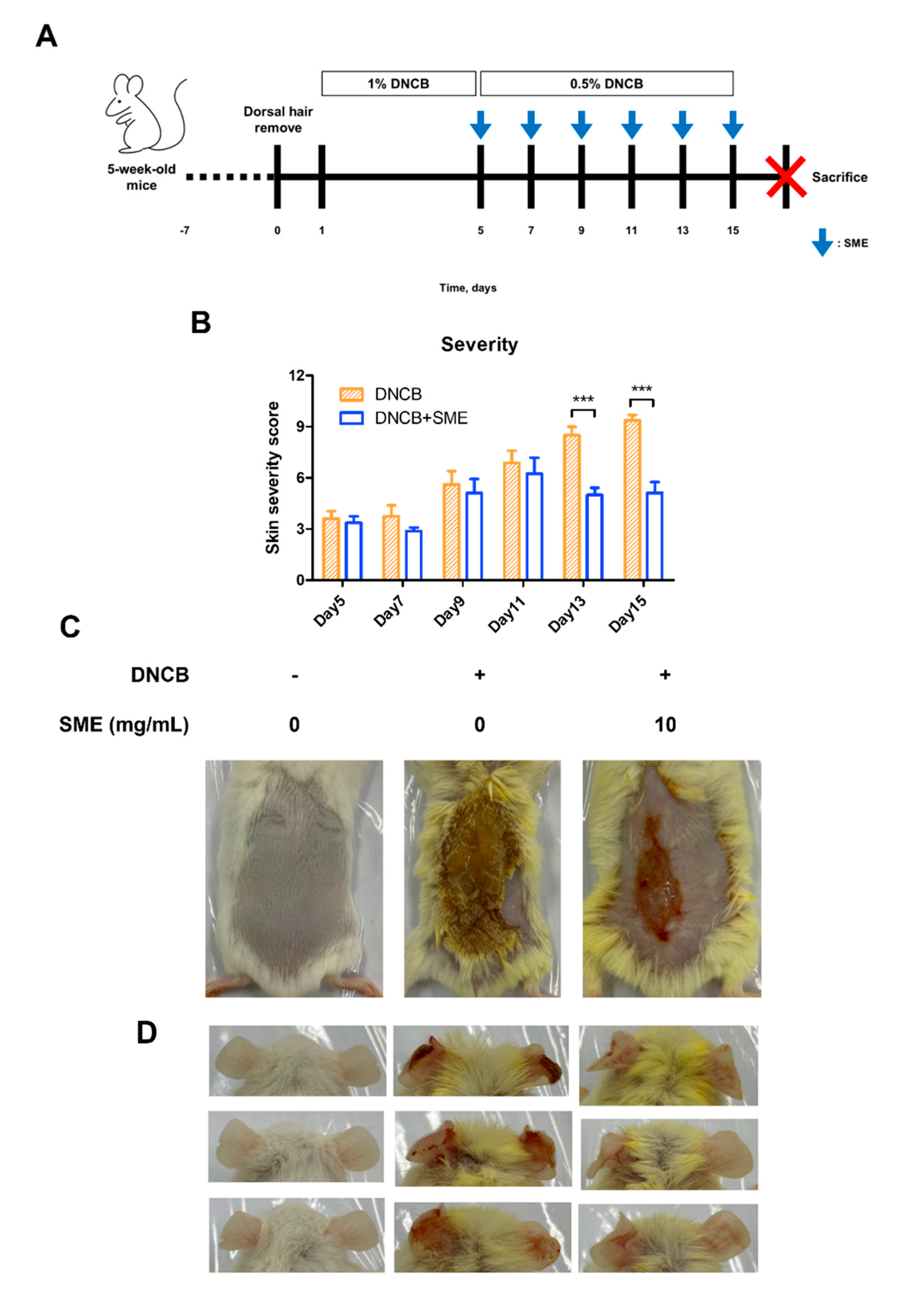 Biomedicines 13 01547 g004