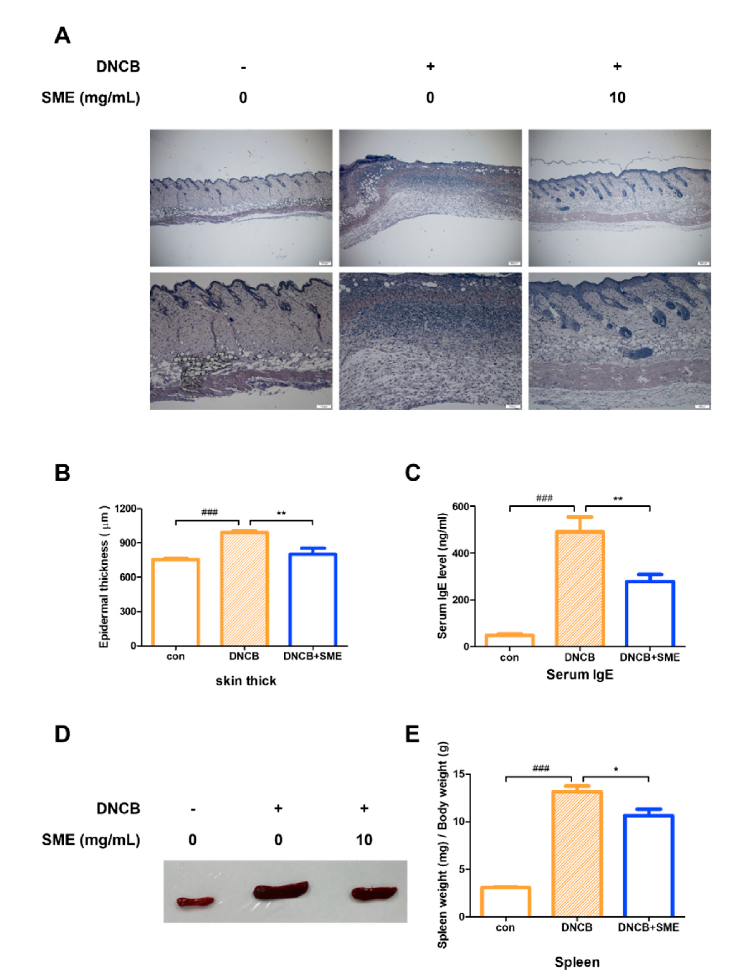 Biomedicines 13 01547 g005