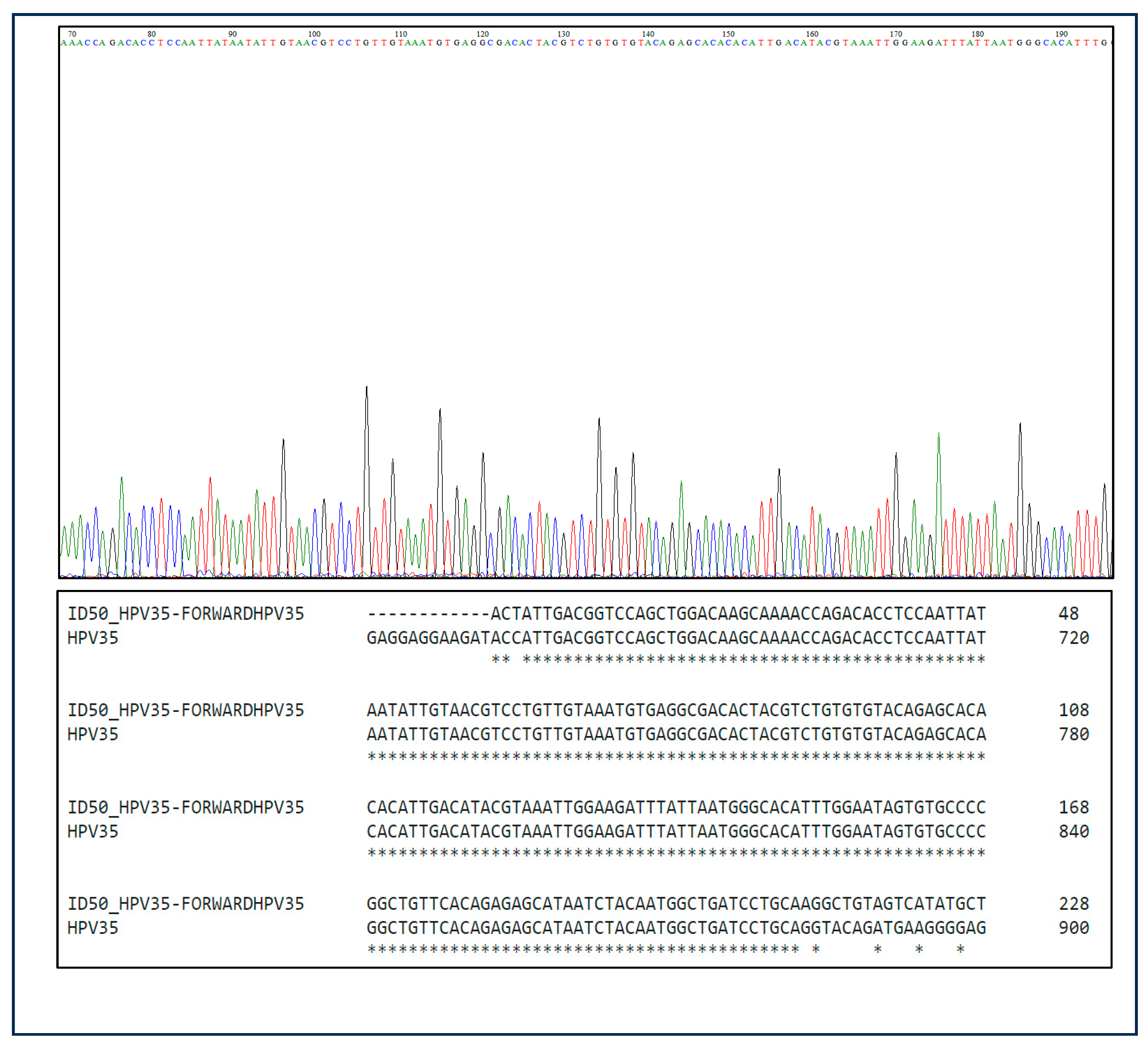Biomedicines 13 01548 g002