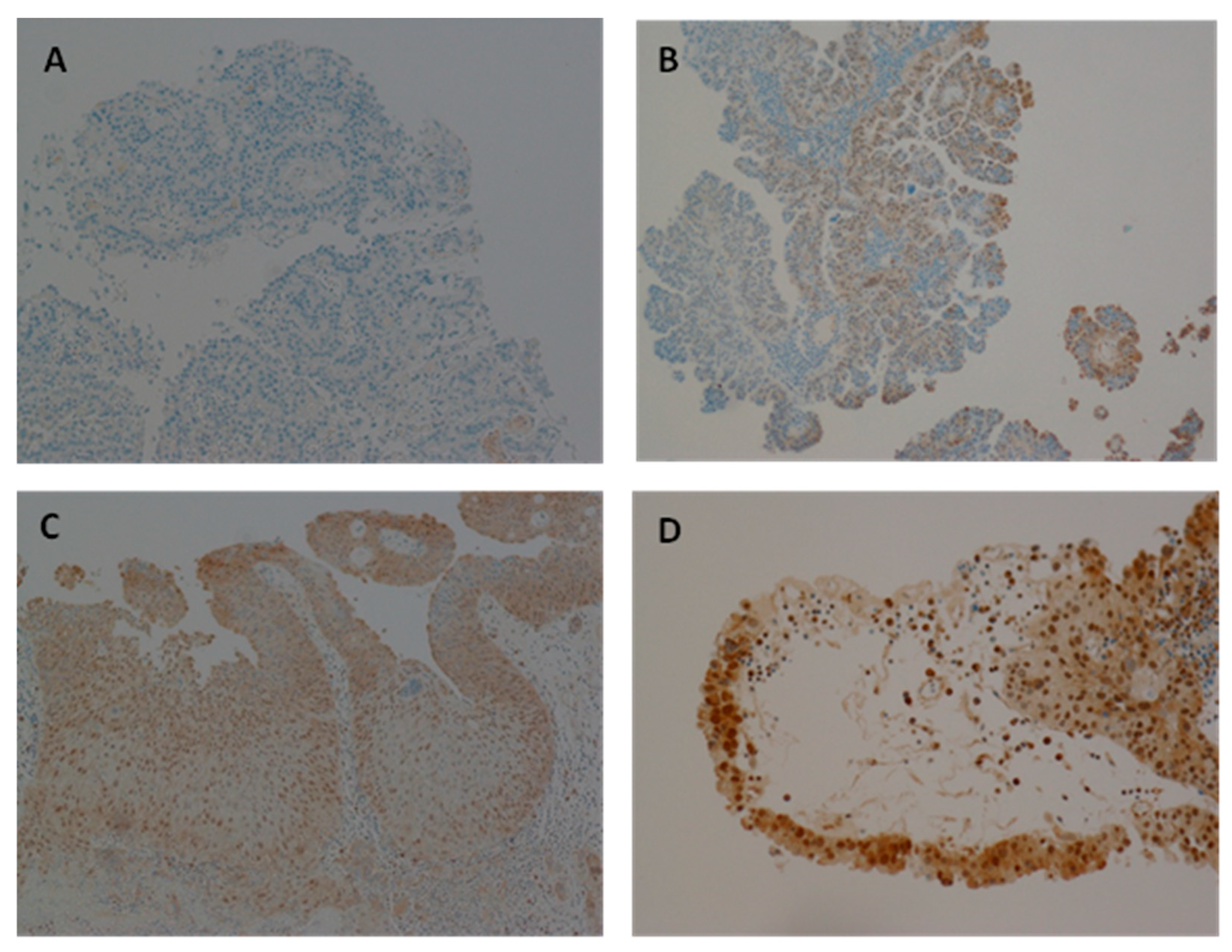 Biomedicines 13 01548 g003