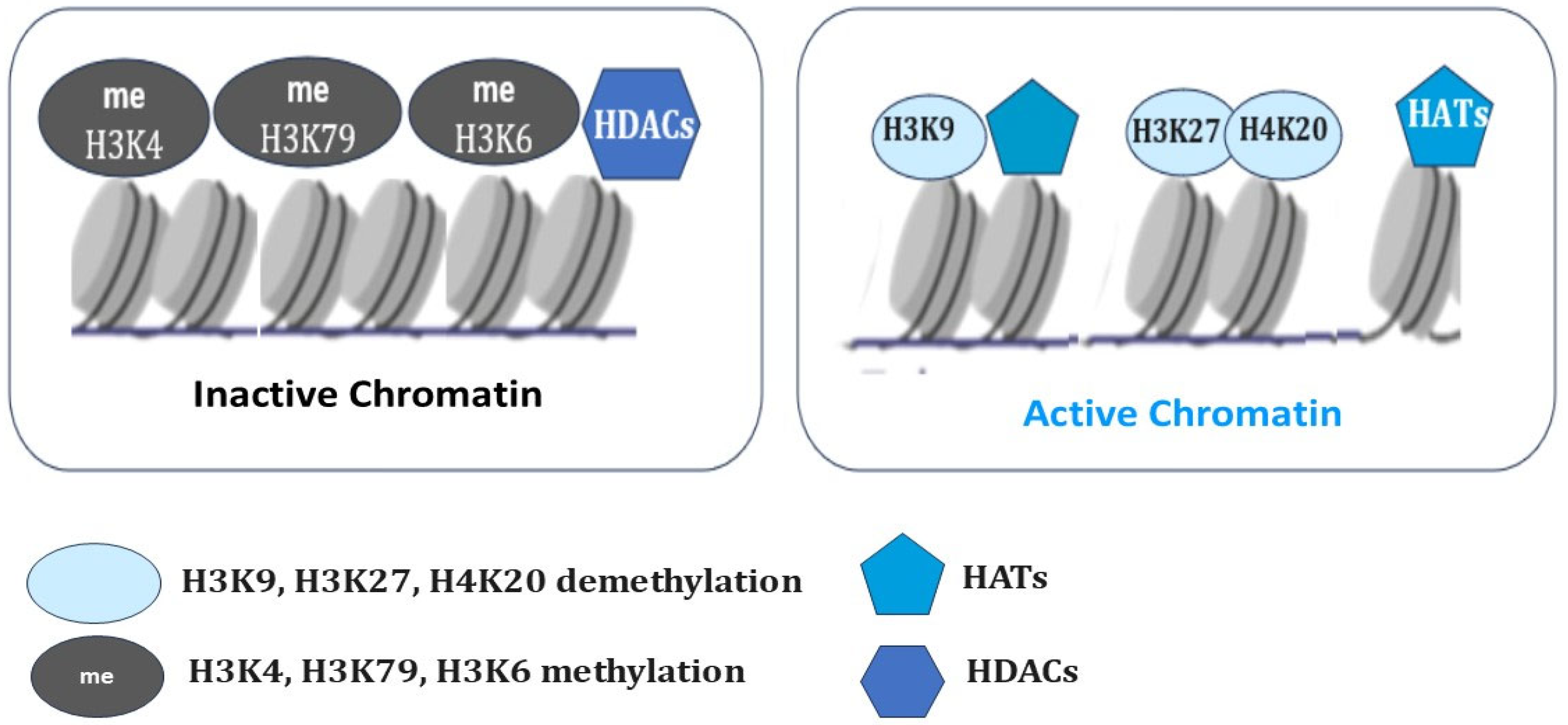 Biomedicines 13 01552 g002