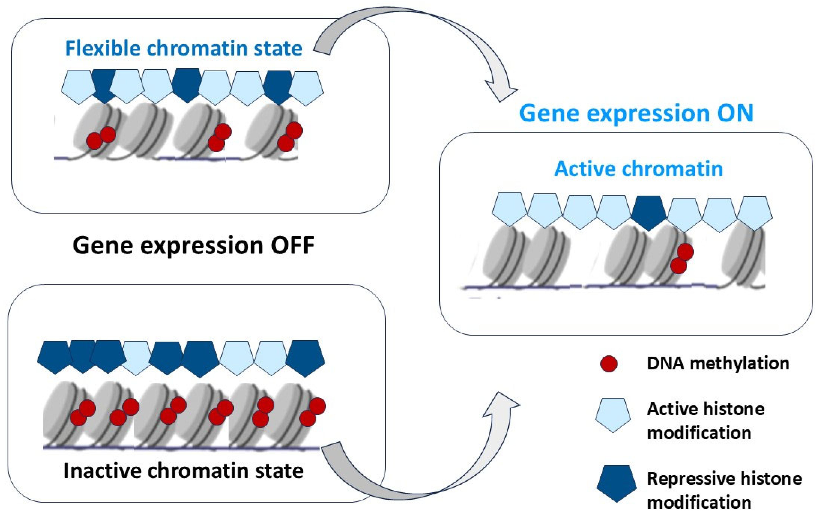 Biomedicines 13 01552 g007