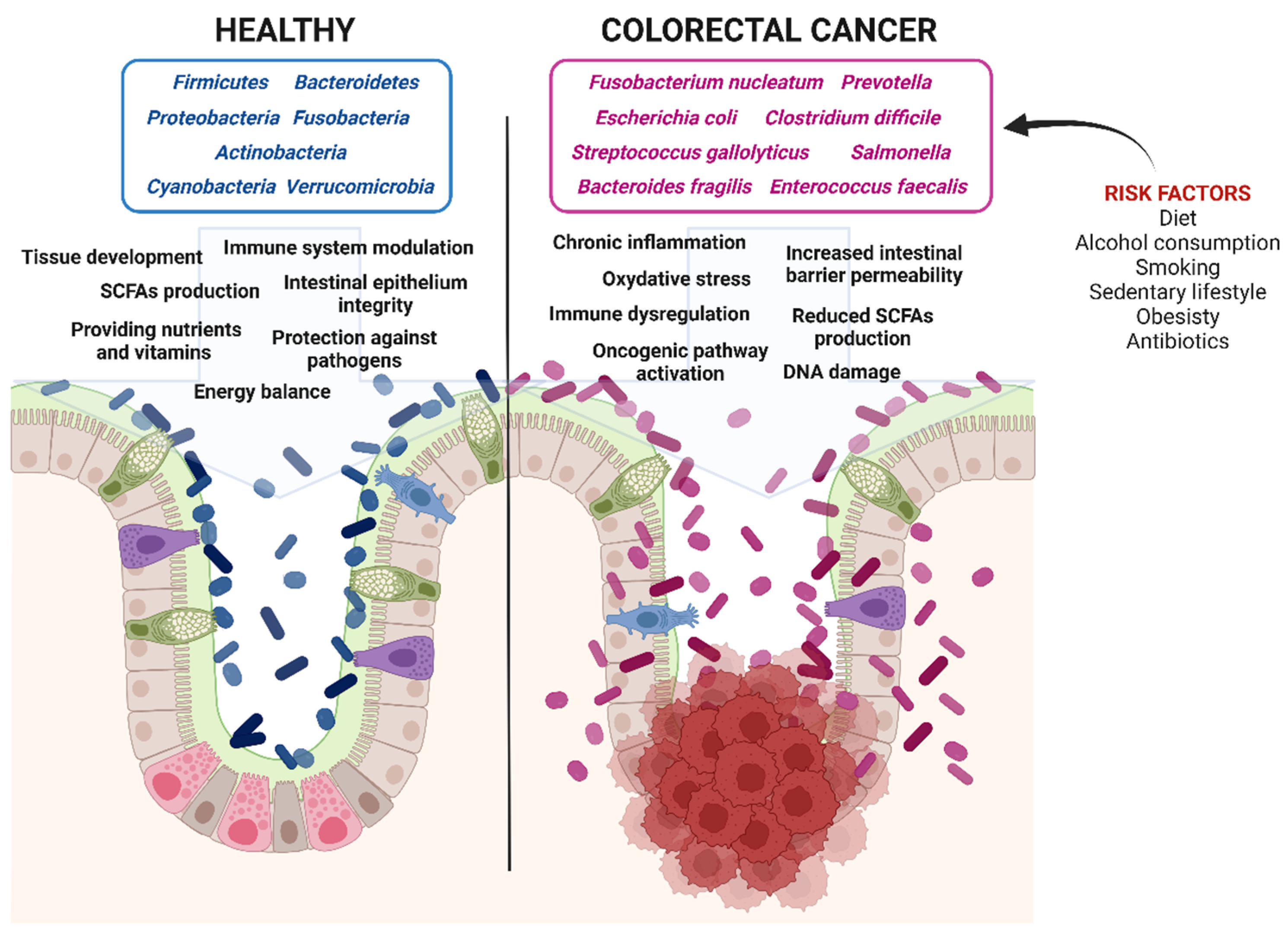 Biomedicines 13 01554 g002