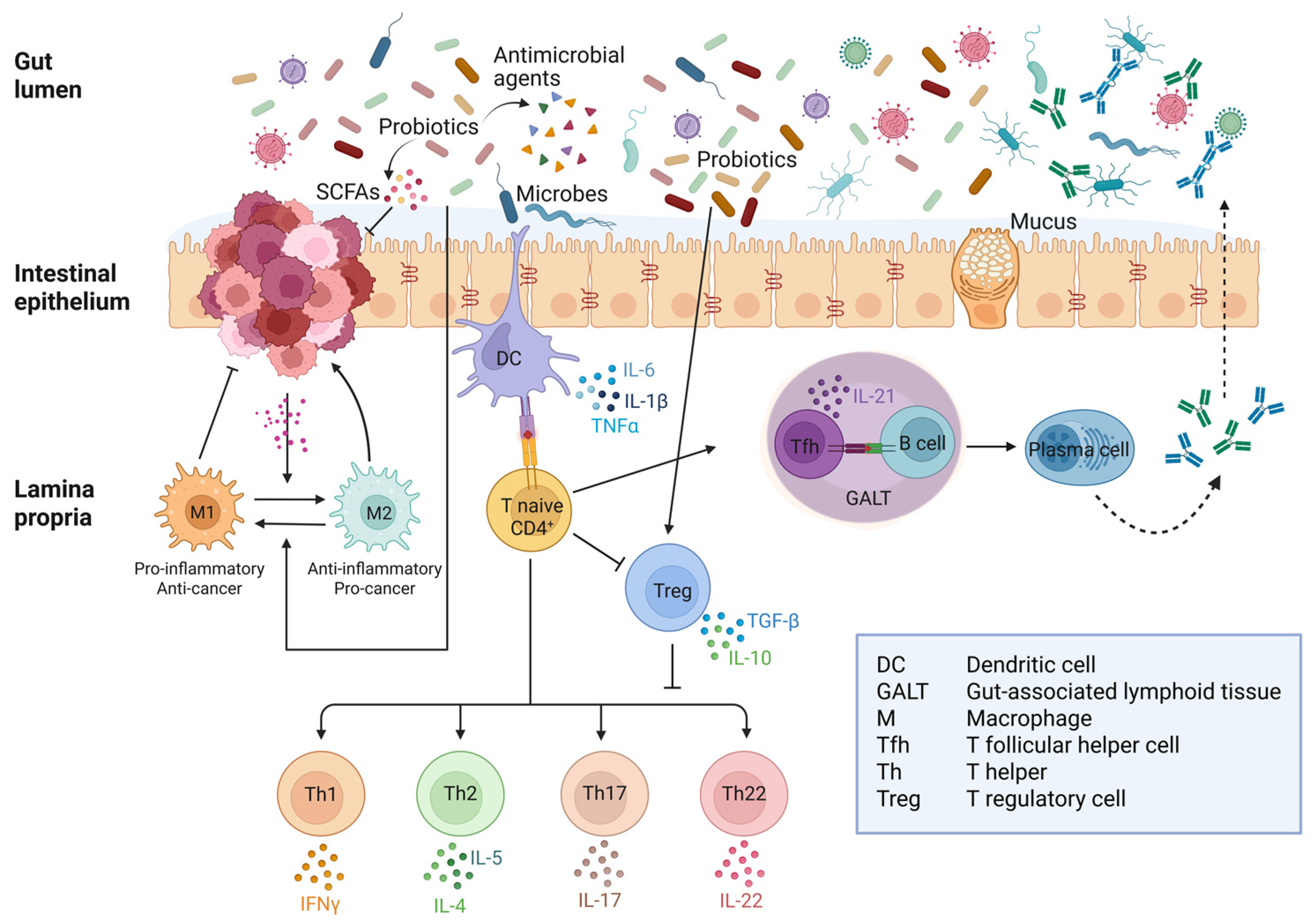 Biomedicines 13 01554 g003