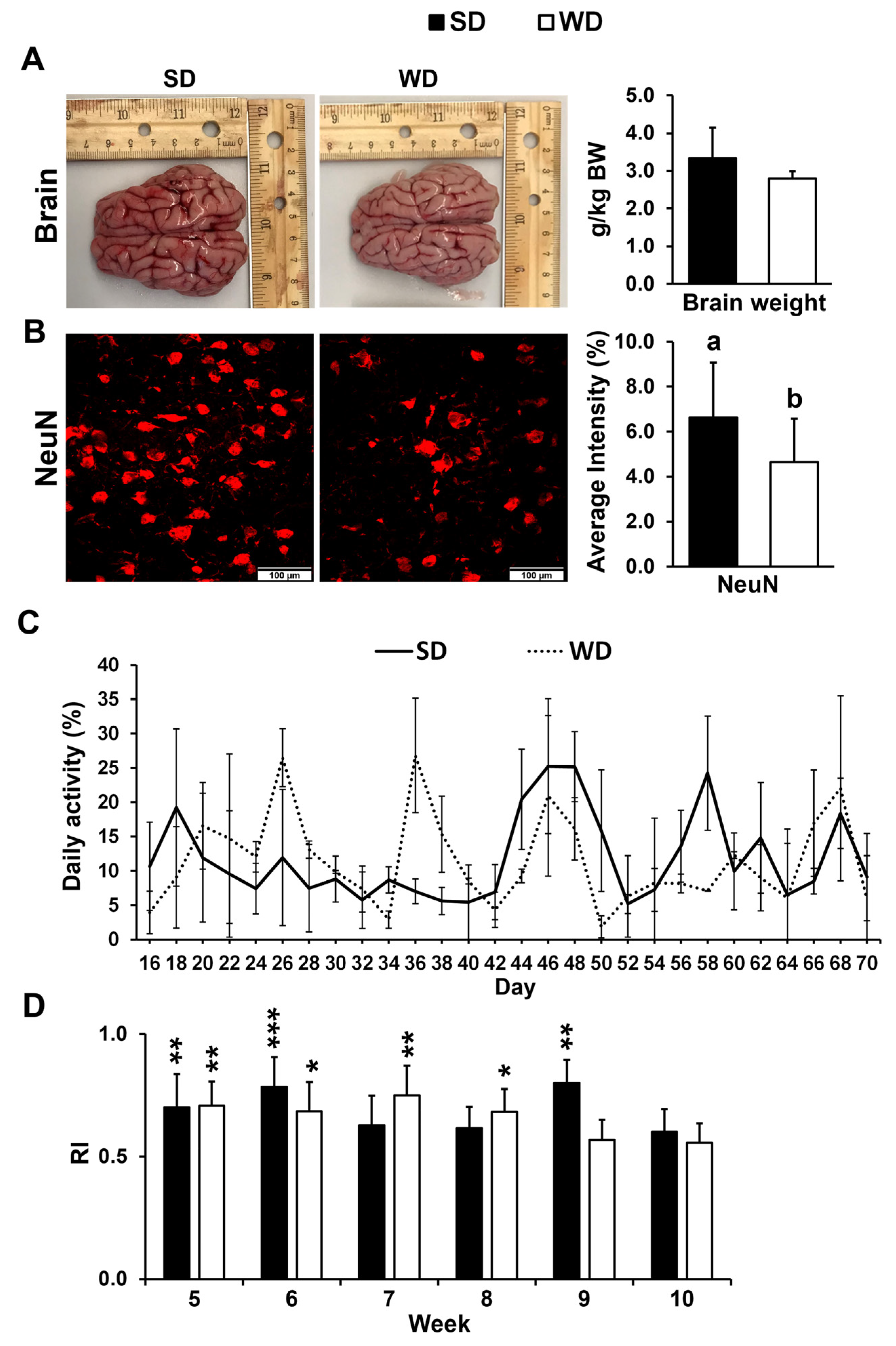 Biomedicines 13 01567 g001