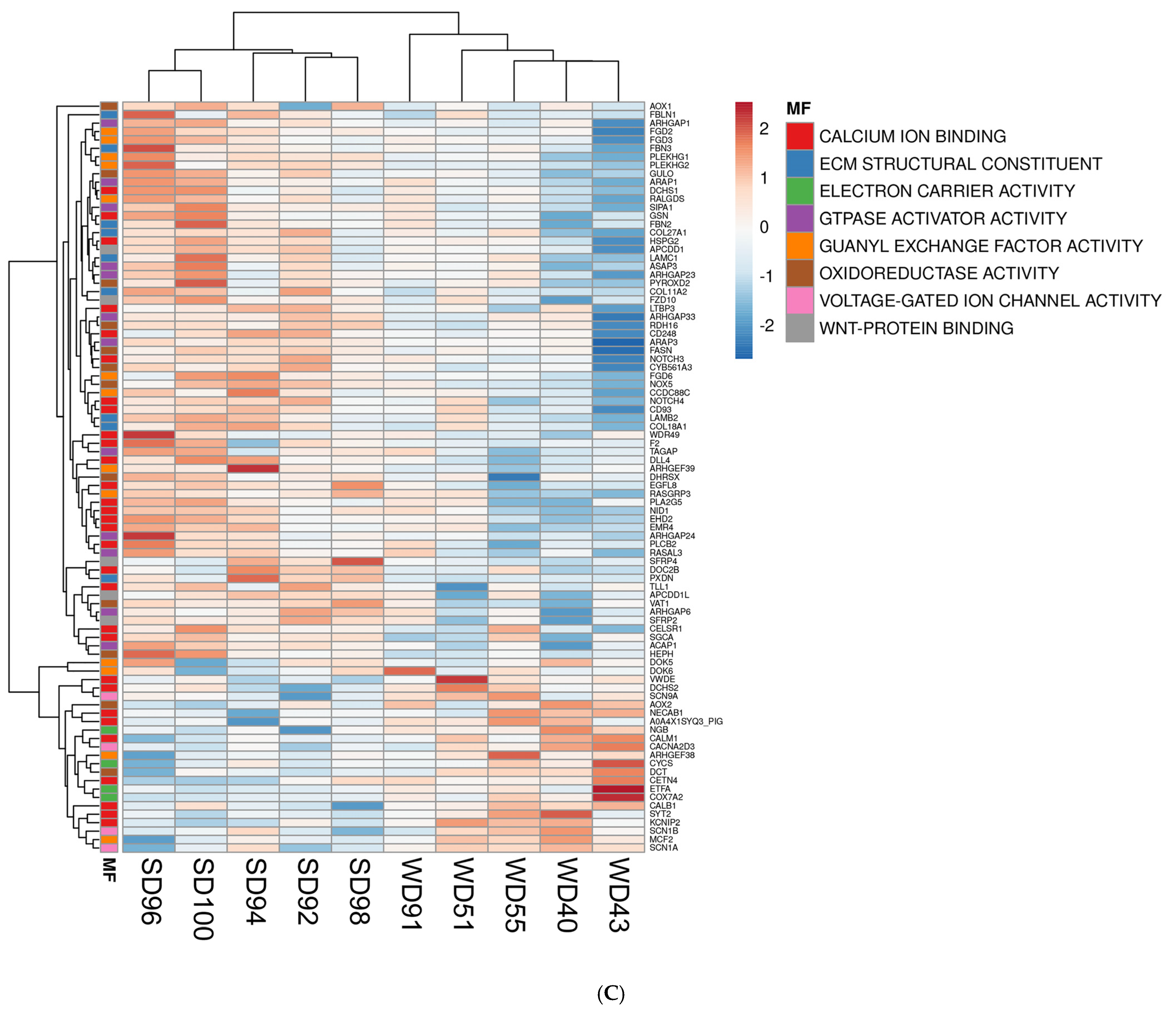 Biomedicines 13 01567 g002c