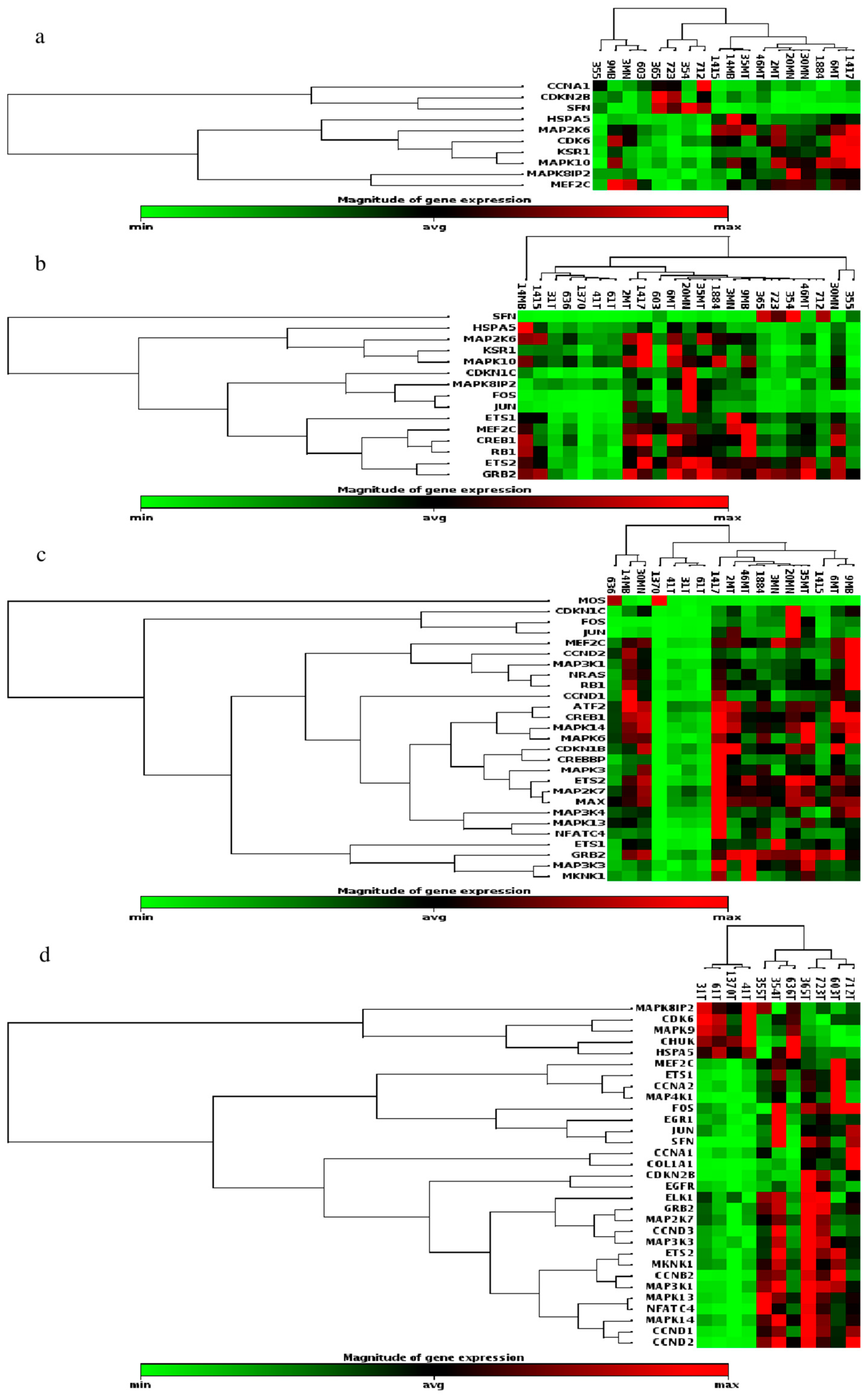 Biomedicines 13 01577 g001