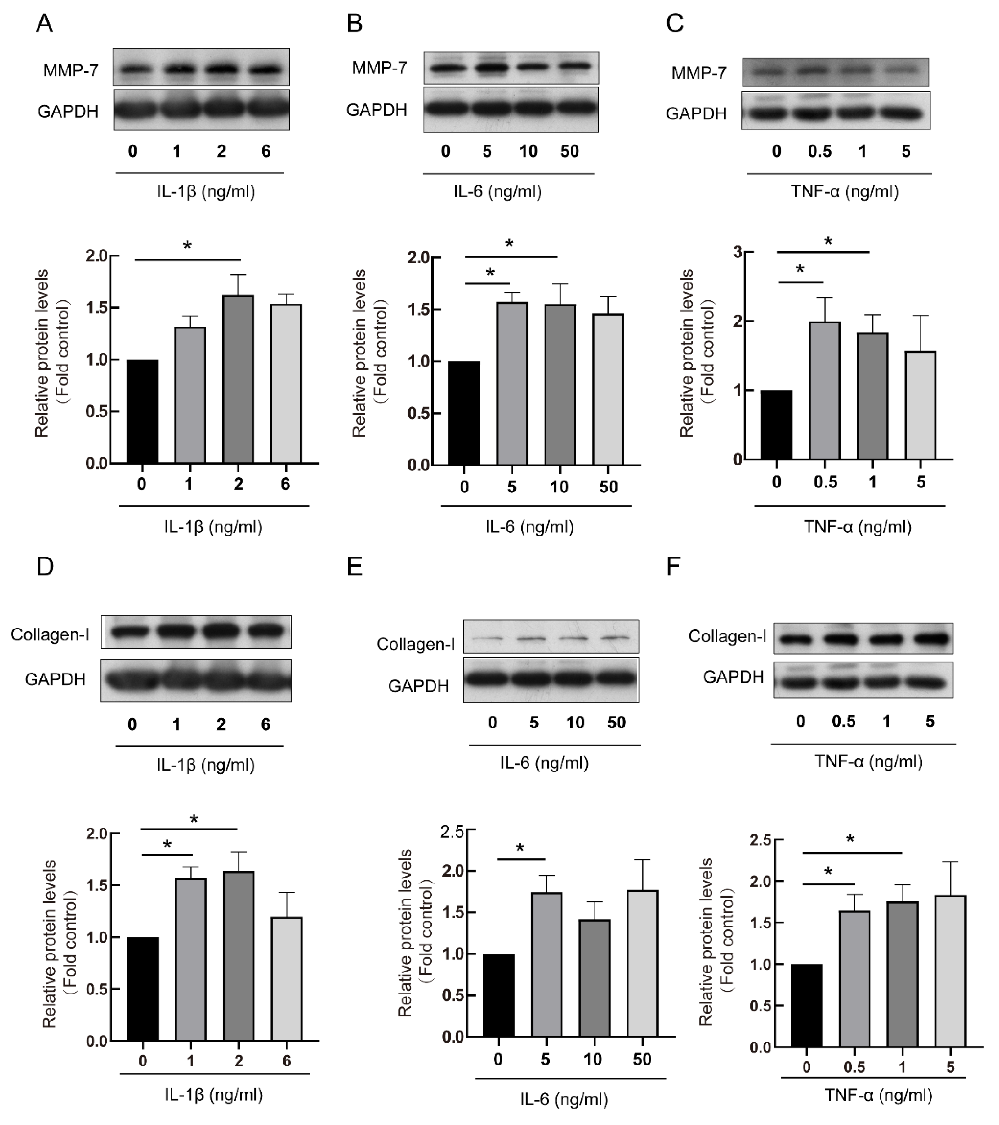 Biomedicines 13 01581 g004