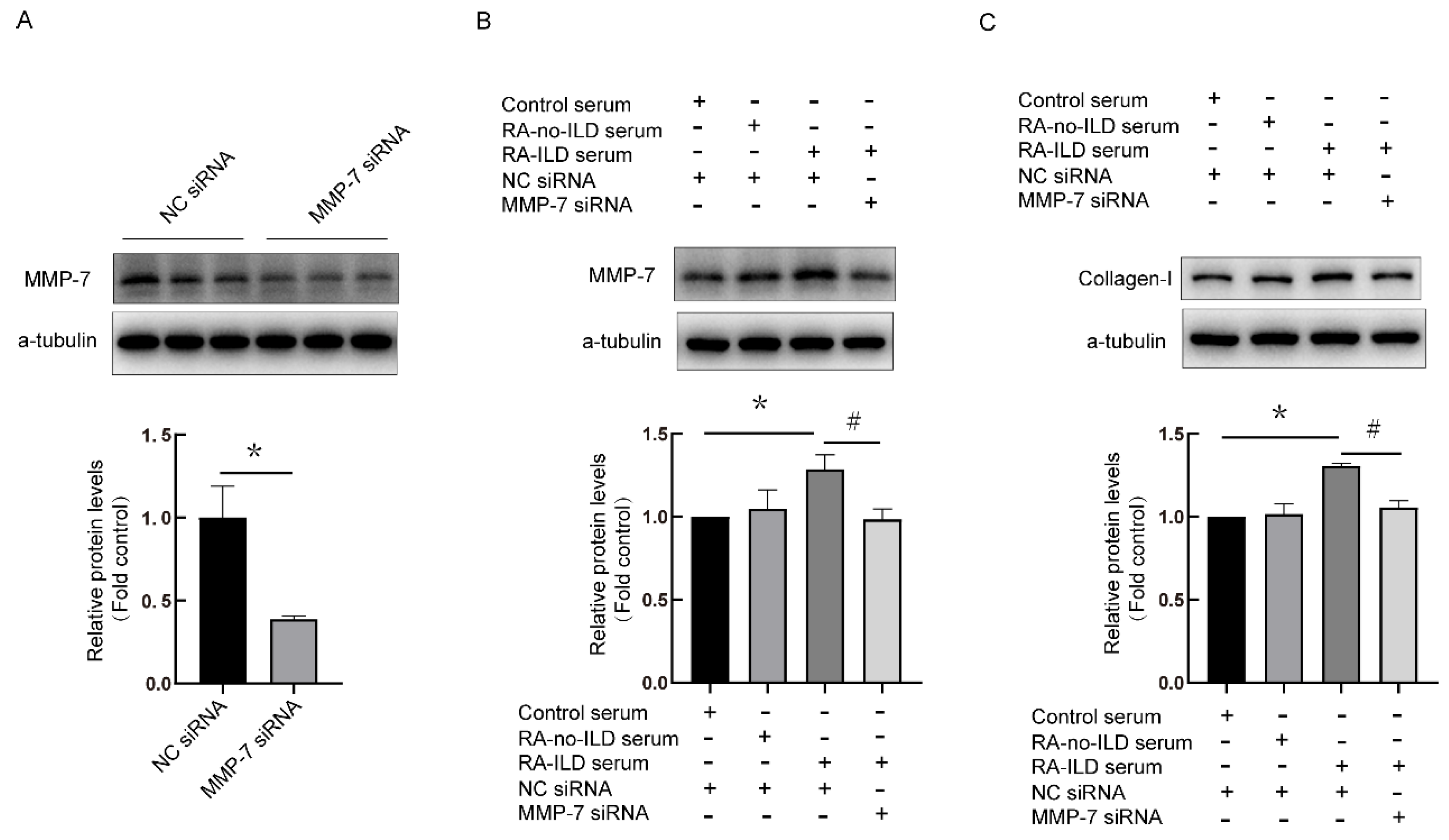 Biomedicines 13 01581 g006