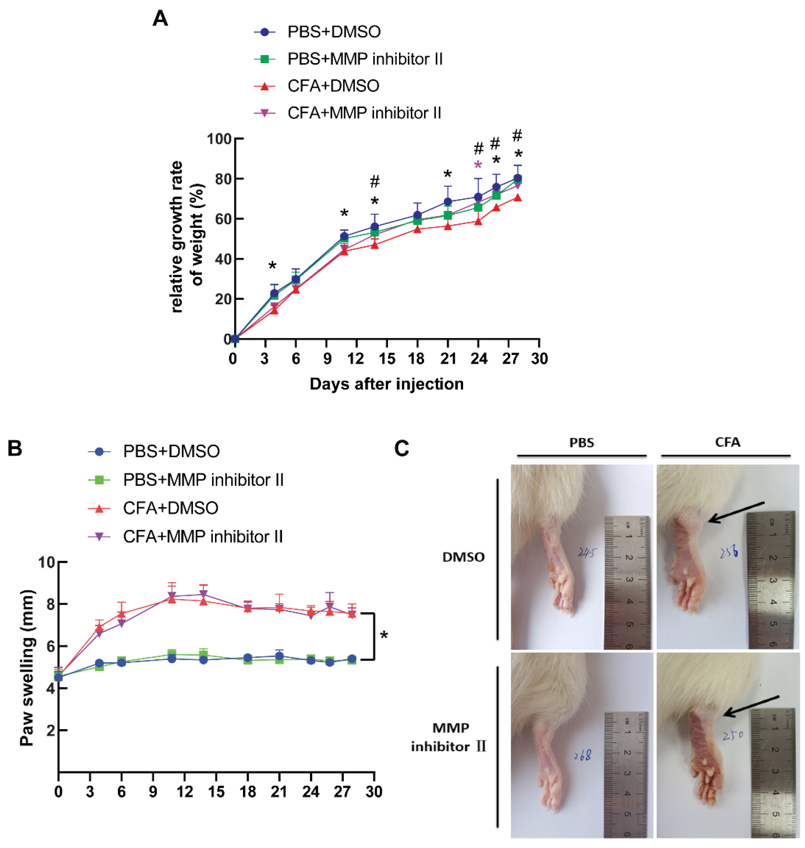 Biomedicines 13 01581 g007