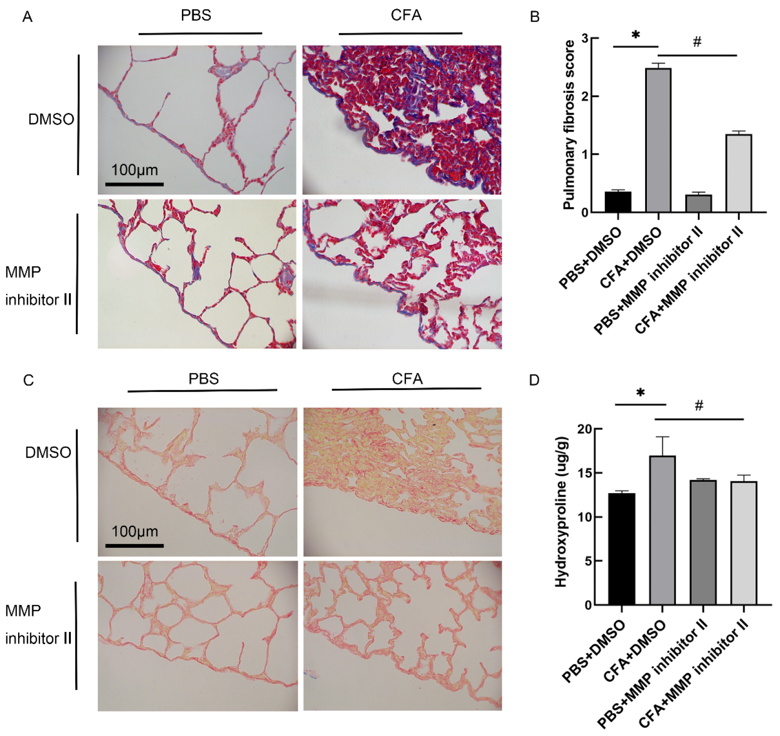 Biomedicines 13 01581 g008