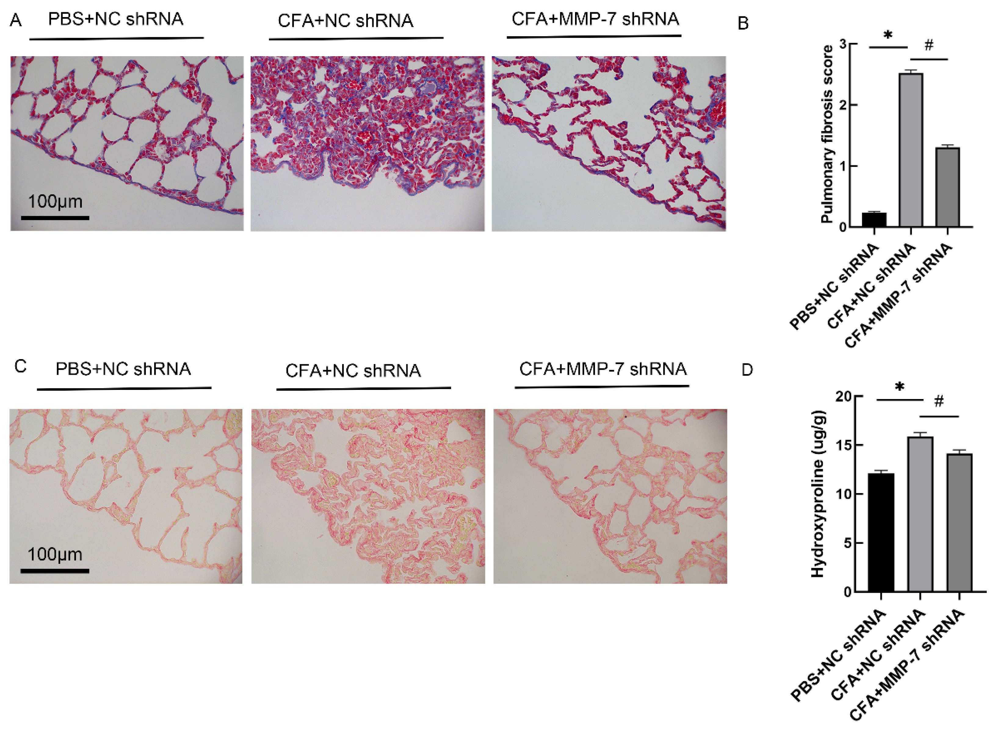 Biomedicines 13 01581 g009