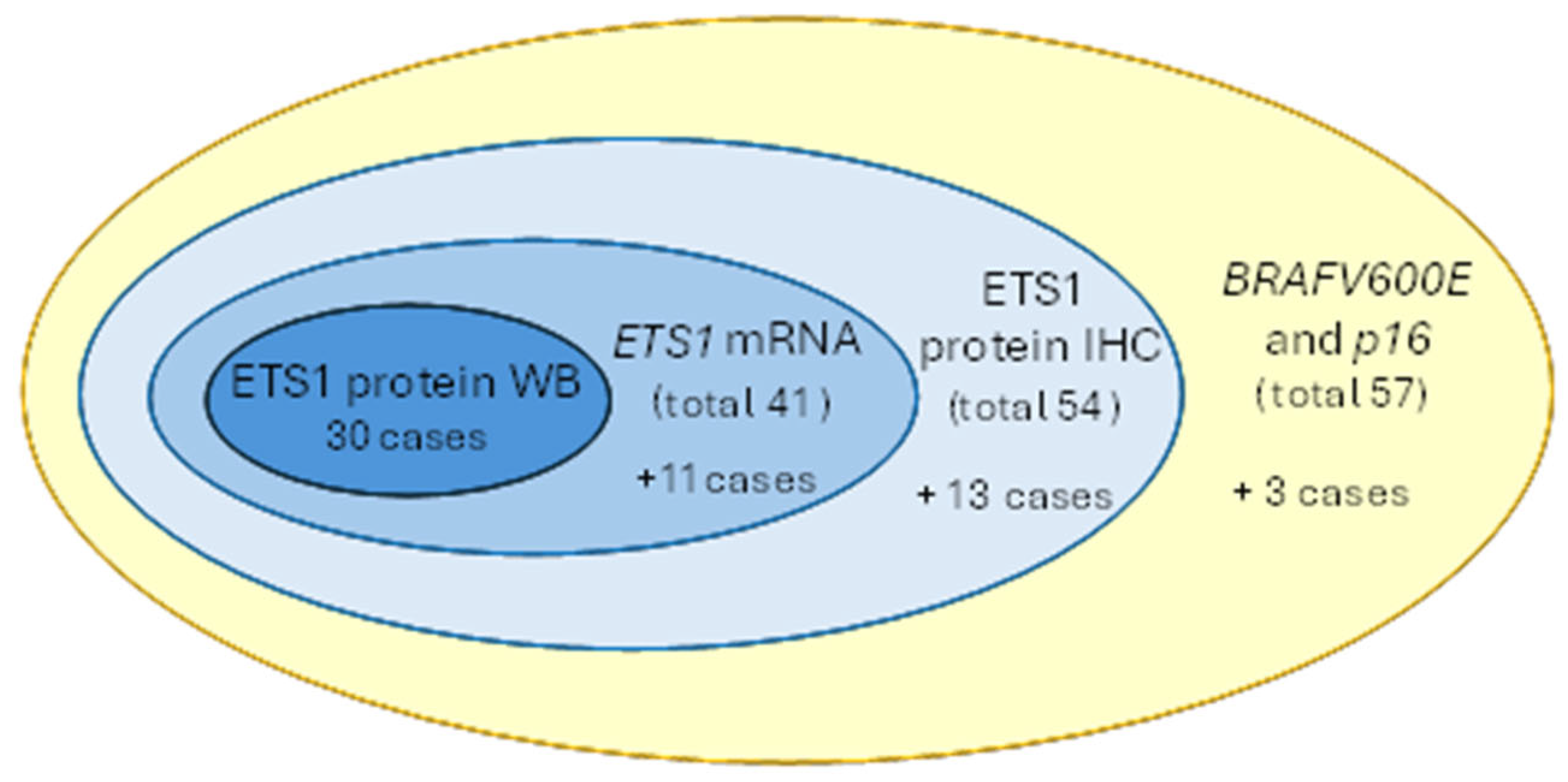 Biomedicines 13 01583 g001 Biomedicines 13 01583 g001