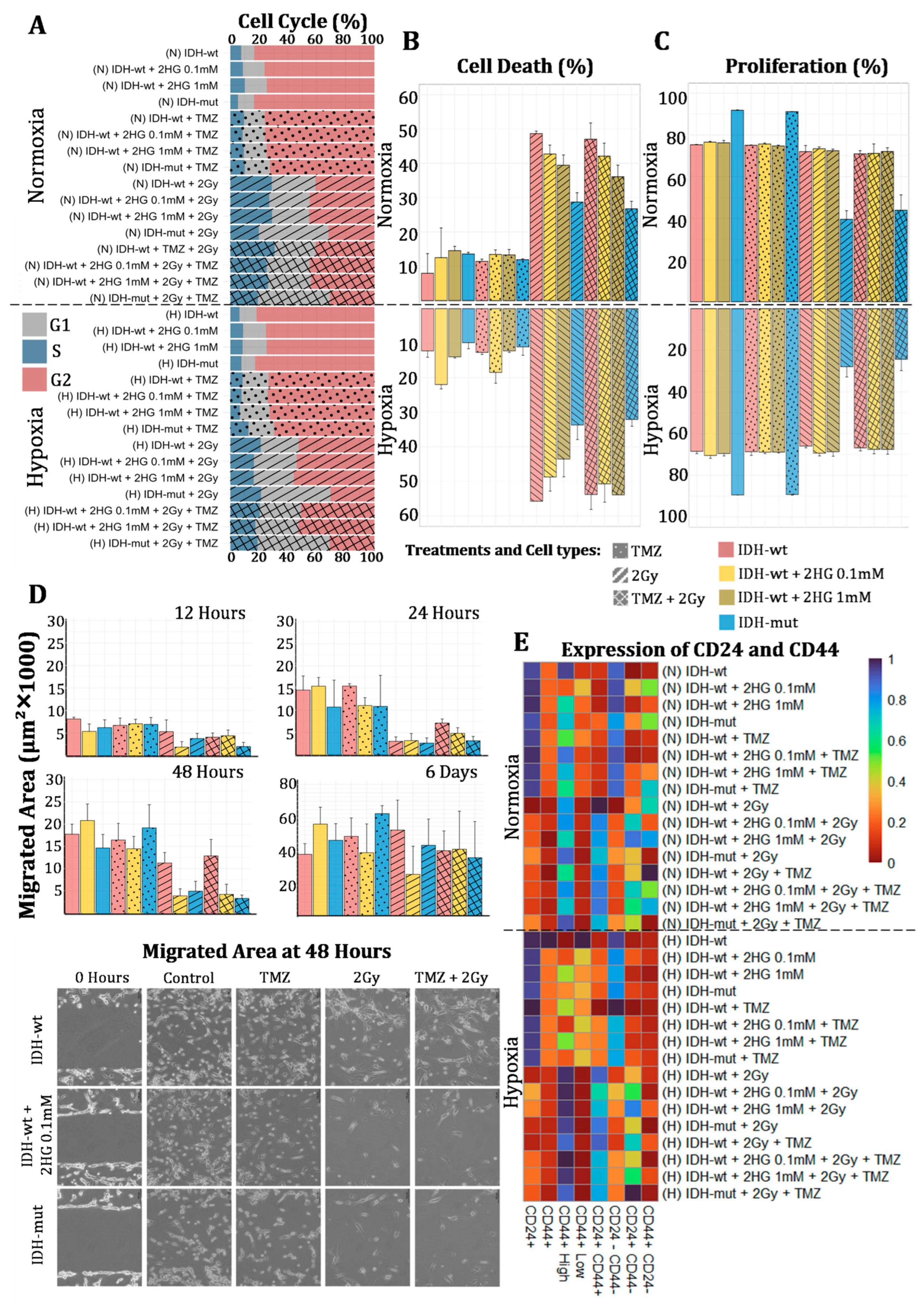 Biomedicines 13 01584 g002