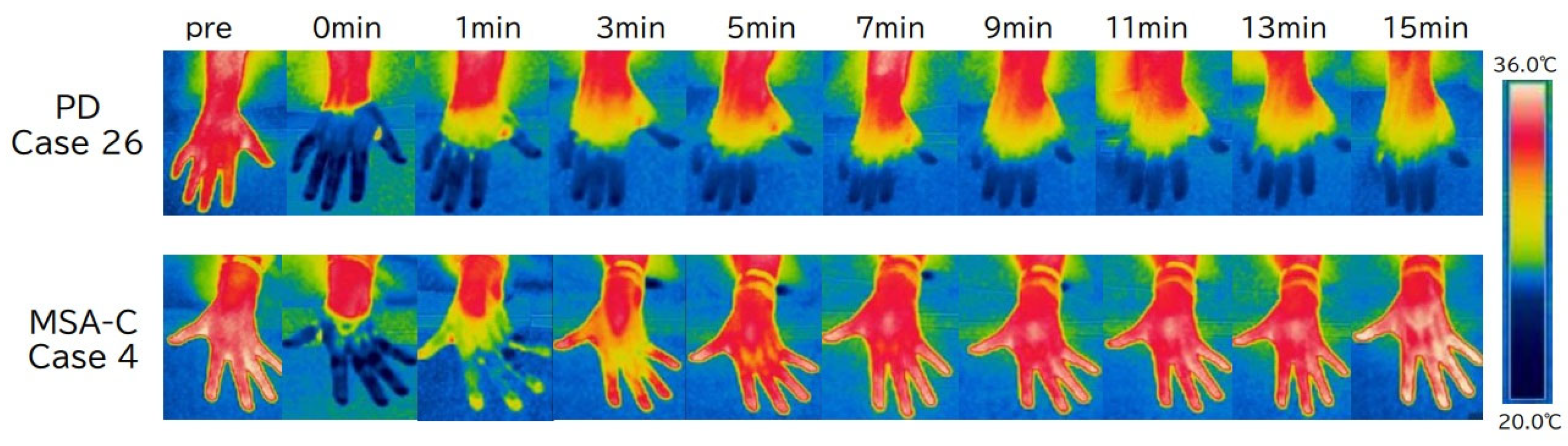 Biomedicines 13 01585 g001