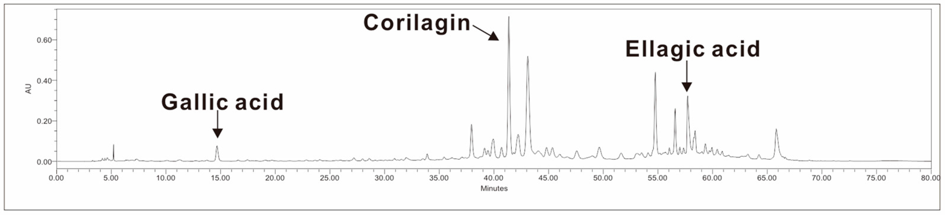 Biomedicines 13 01588 g001