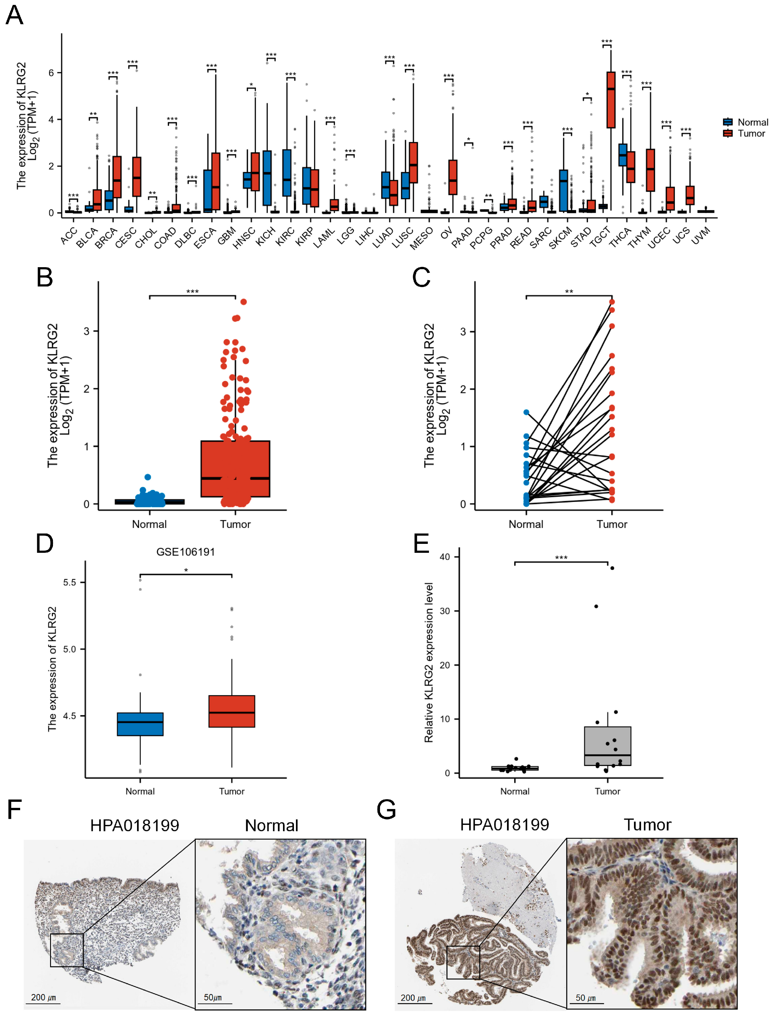 Biomedicines 13 01592 g001