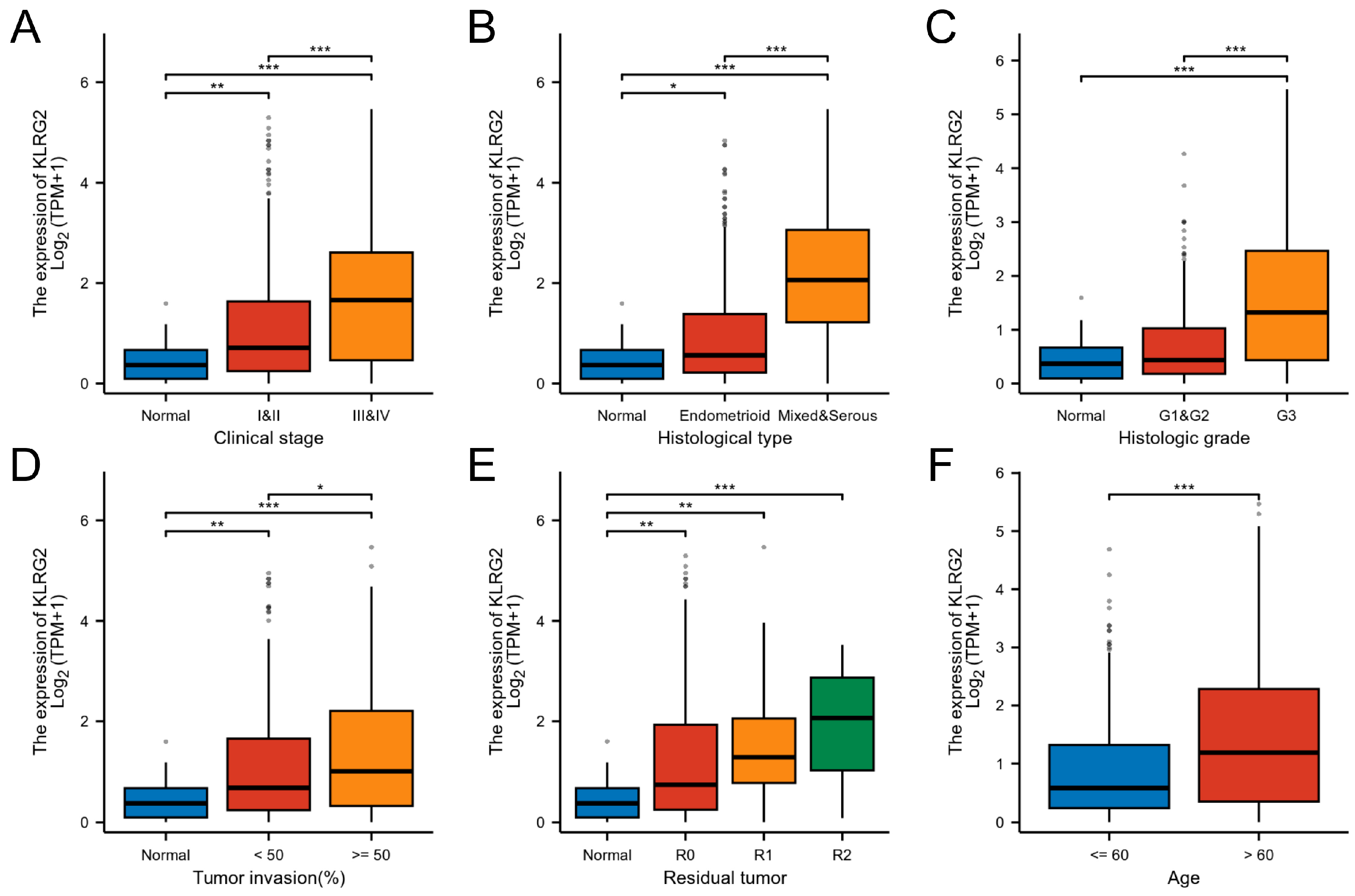 Biomedicines 13 01592 g002