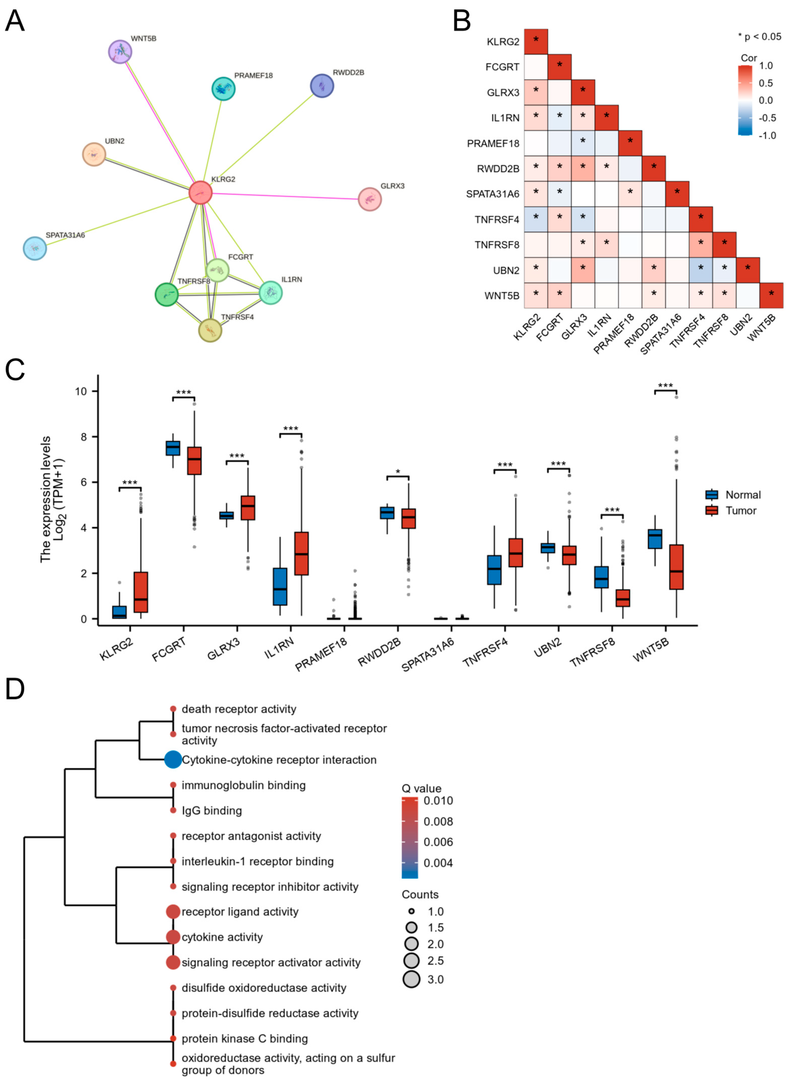 Biomedicines 13 01592 g006