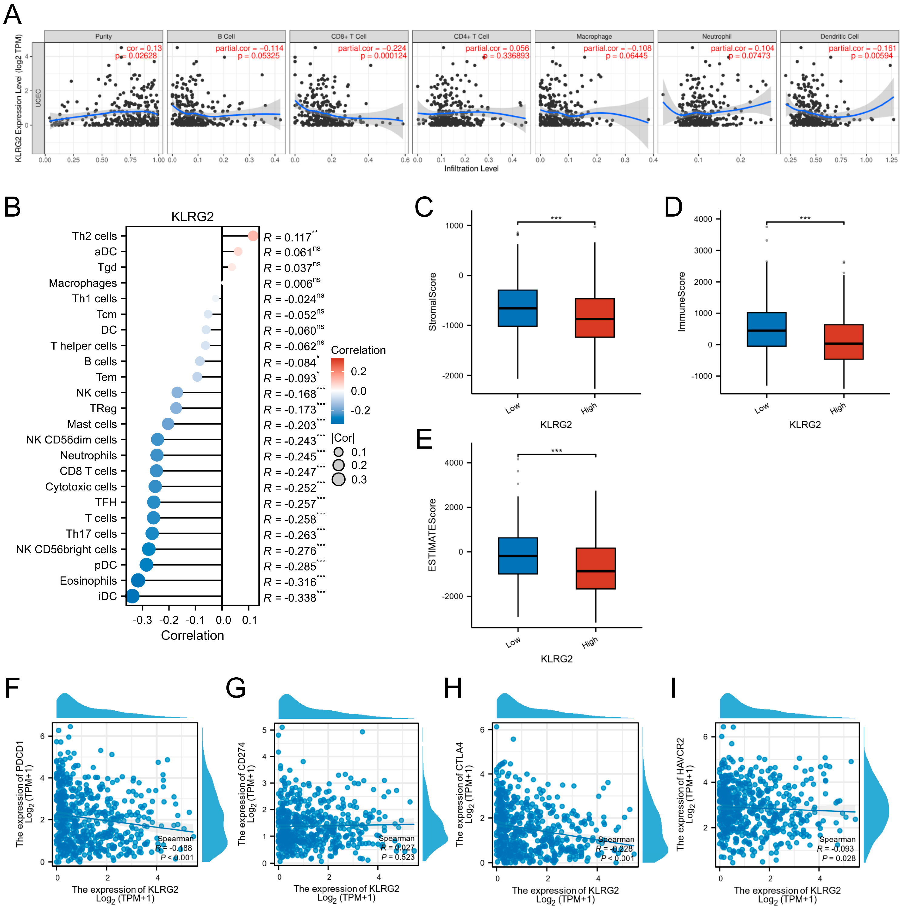 Biomedicines 13 01592 g008