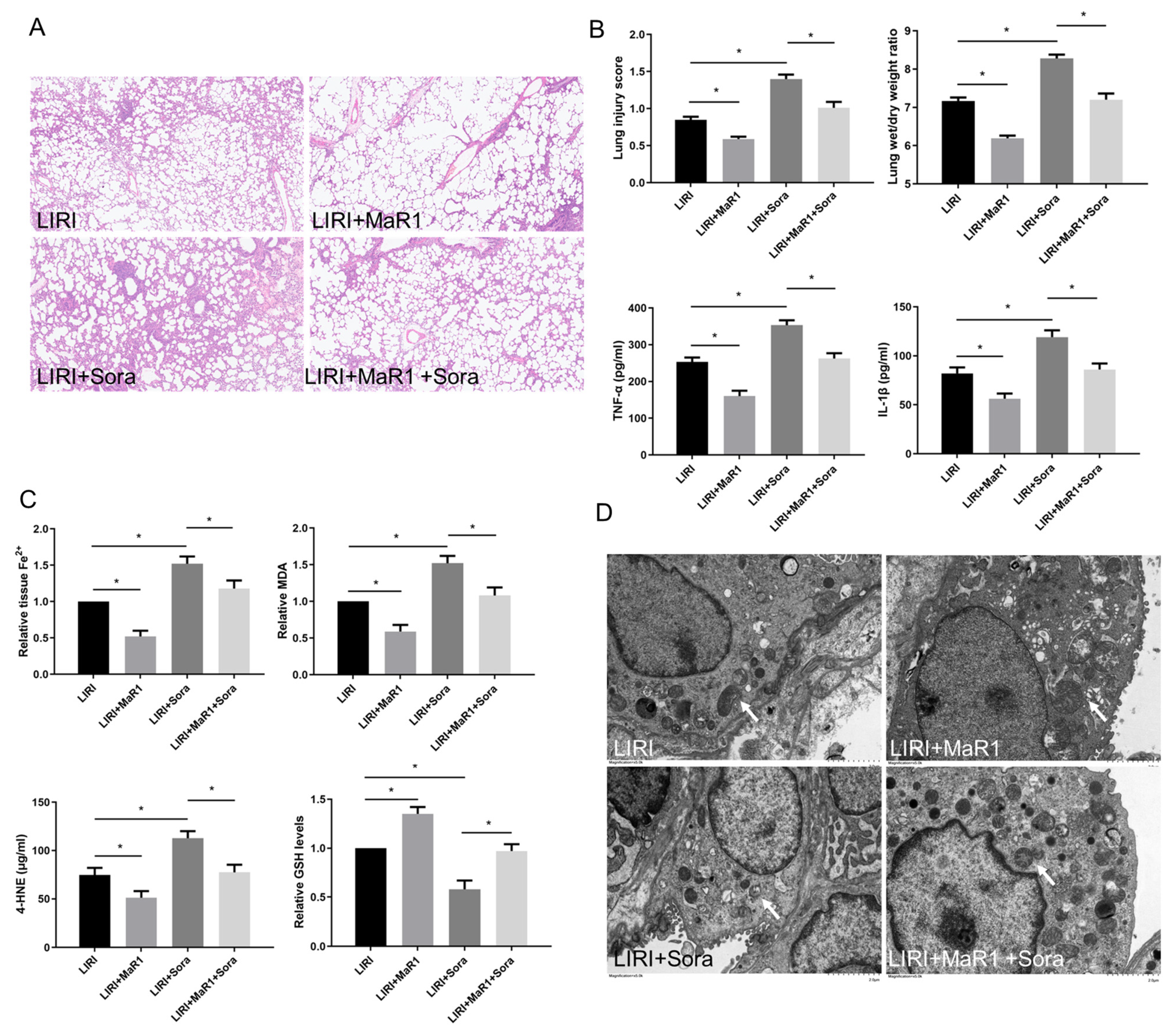 Biomedicines 13 01594 g002