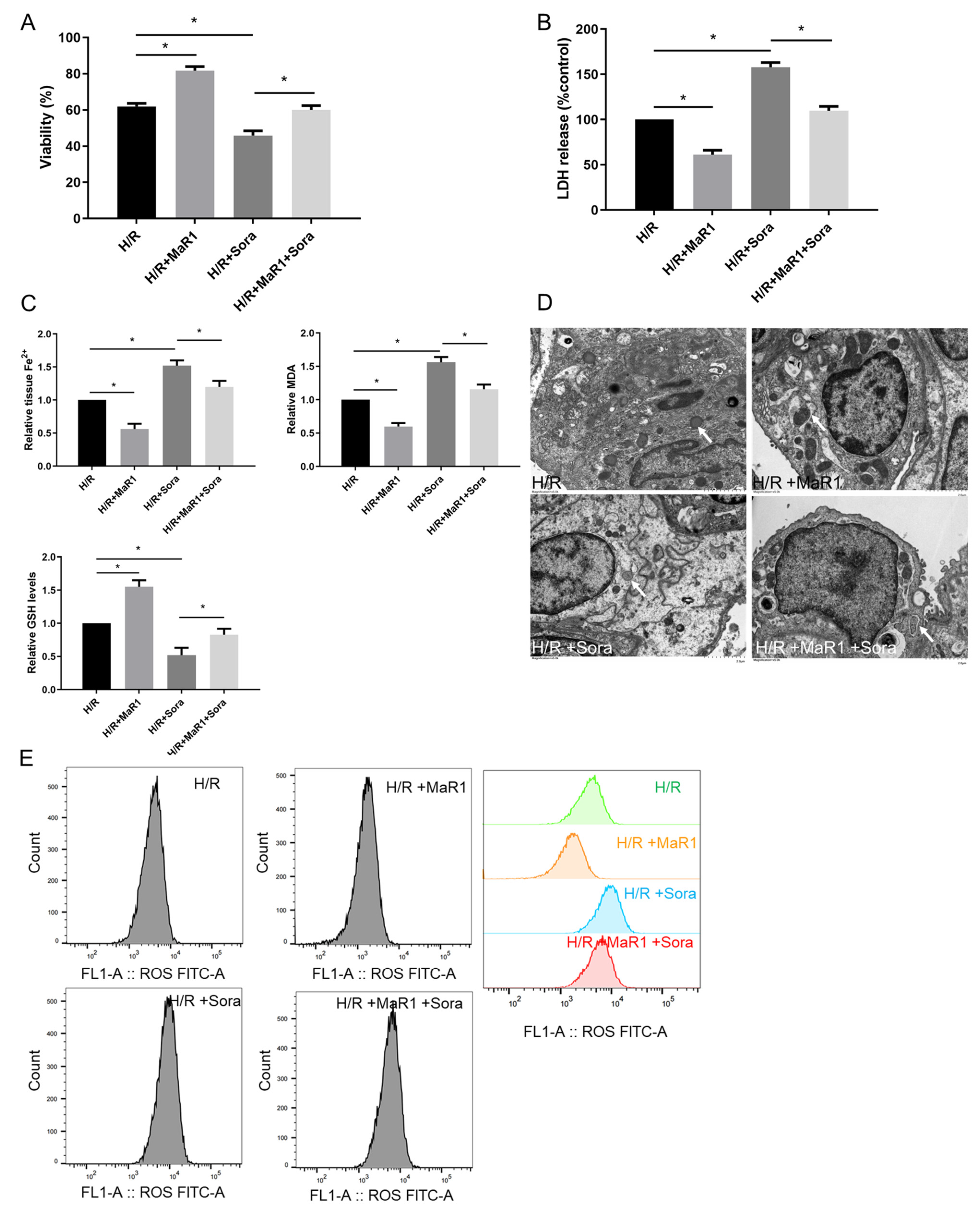 Biomedicines 13 01594 g005
