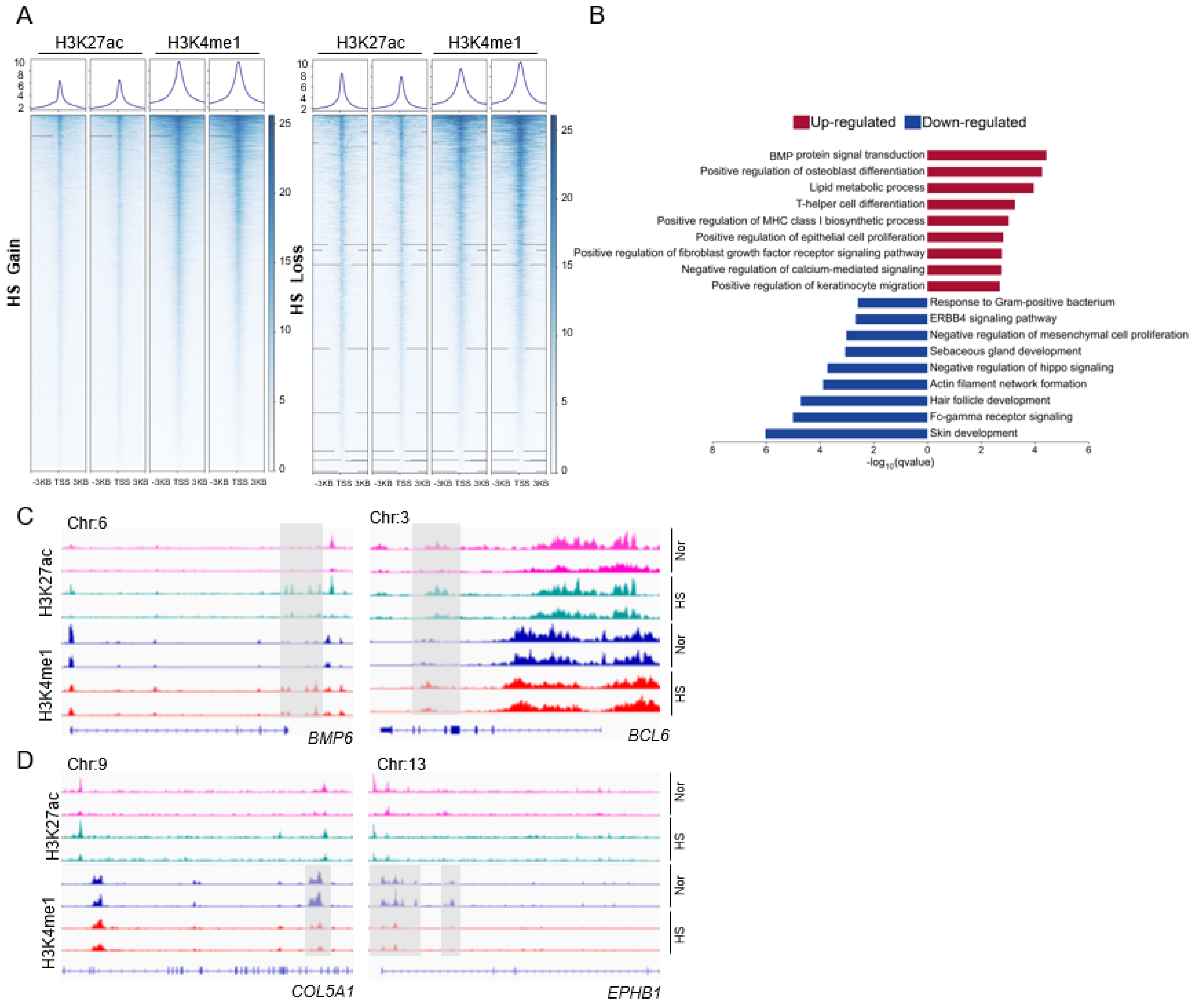 Biomedicines 13 01599 g001
