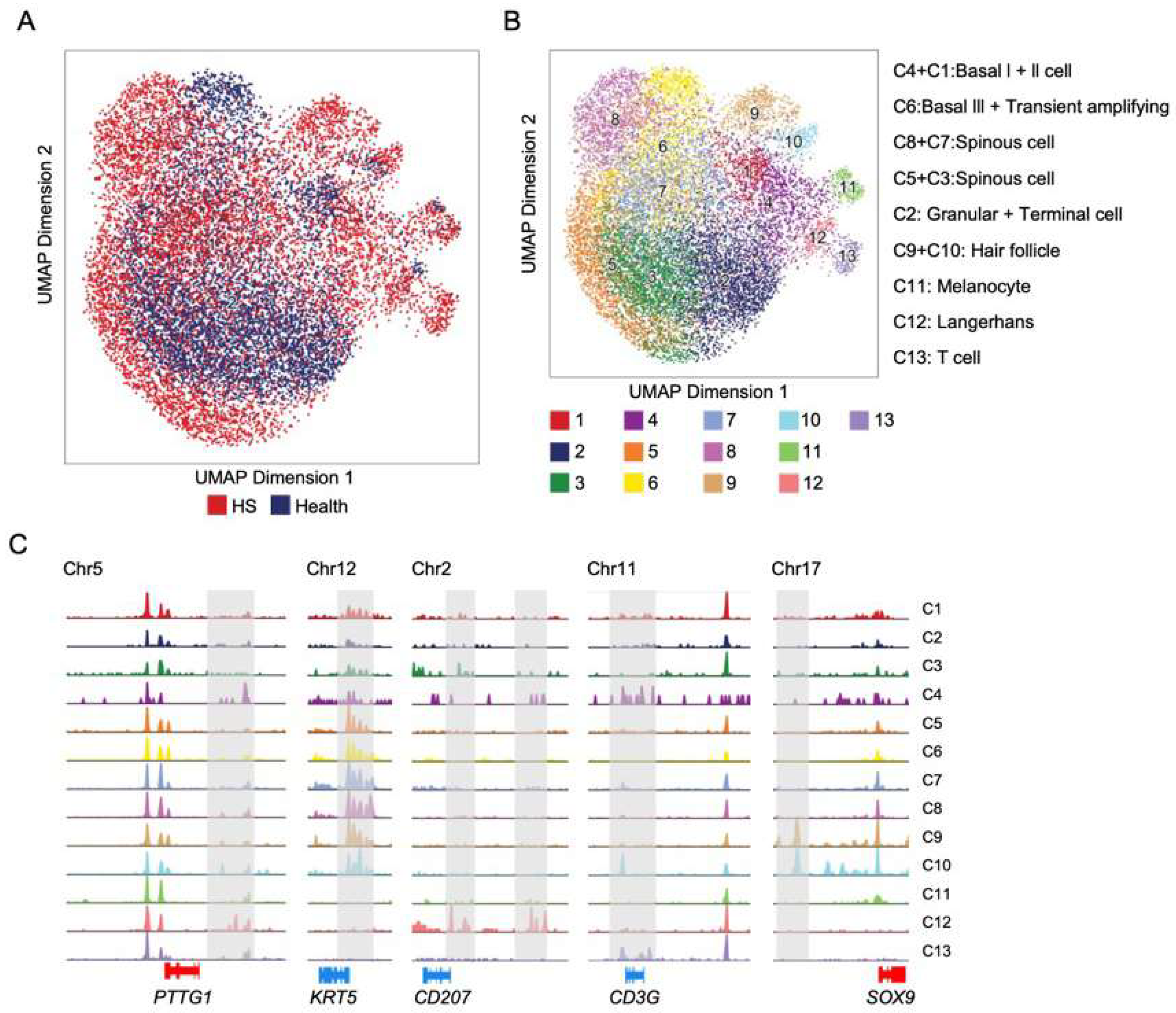 Biomedicines 13 01599 g003