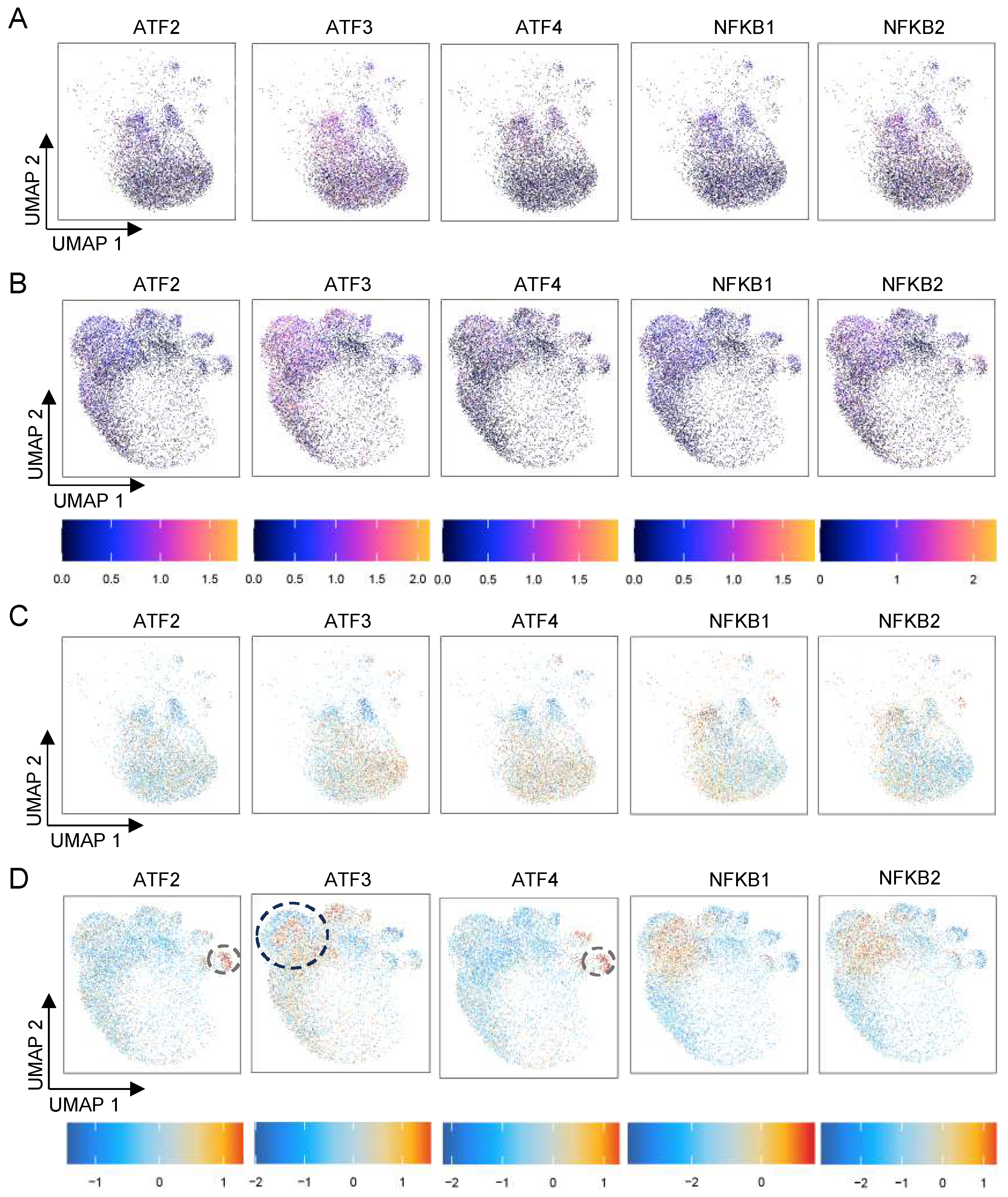 Biomedicines 13 01599 g004